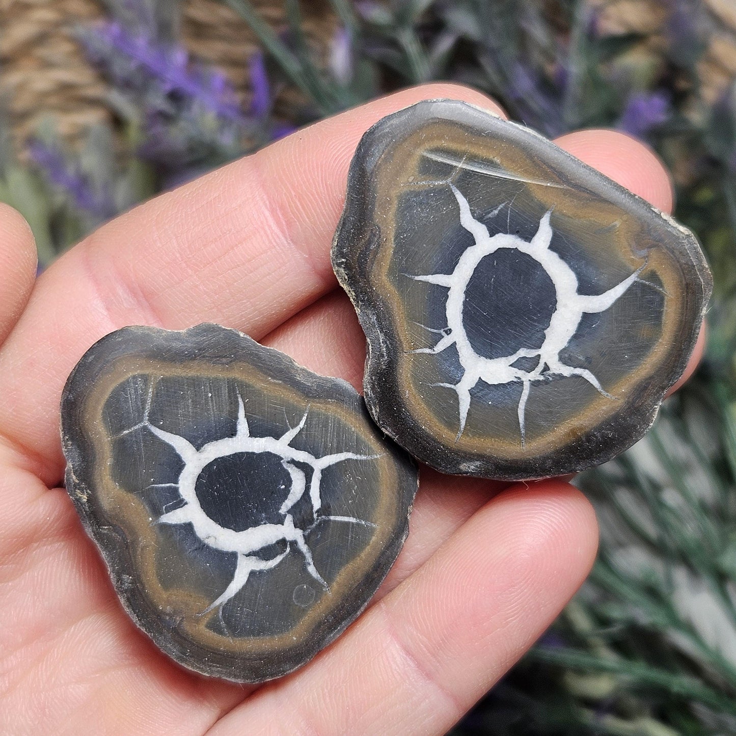 Dragon Egg Crystal Pair