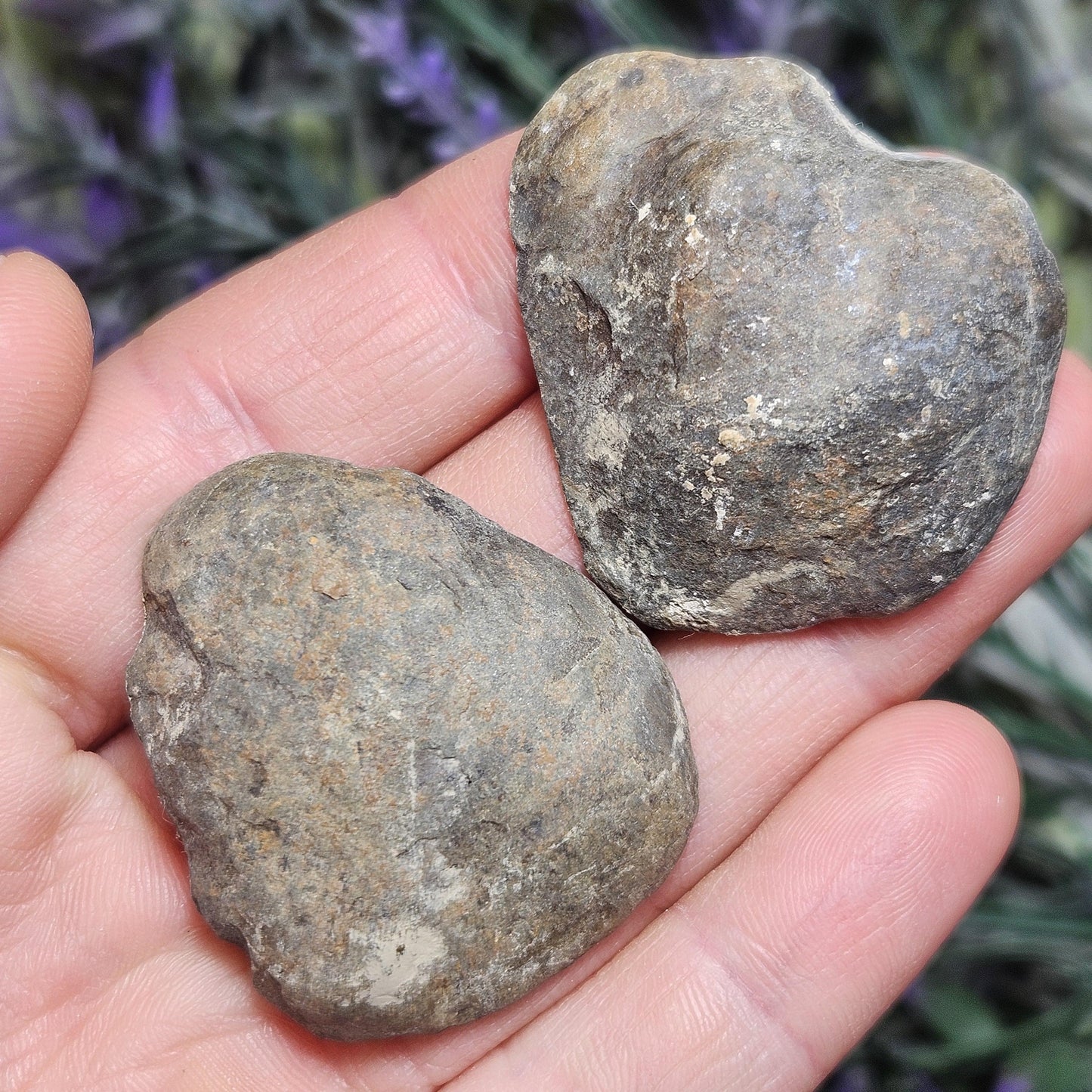 Dragon Egg Crystal Pair