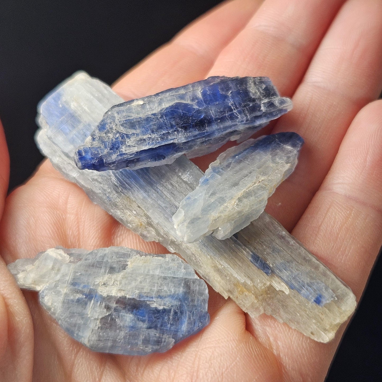 Bicolor Kyanite