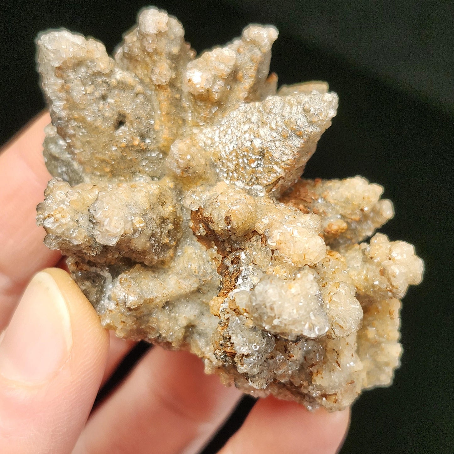 Chocolate Dogtooth Calcite