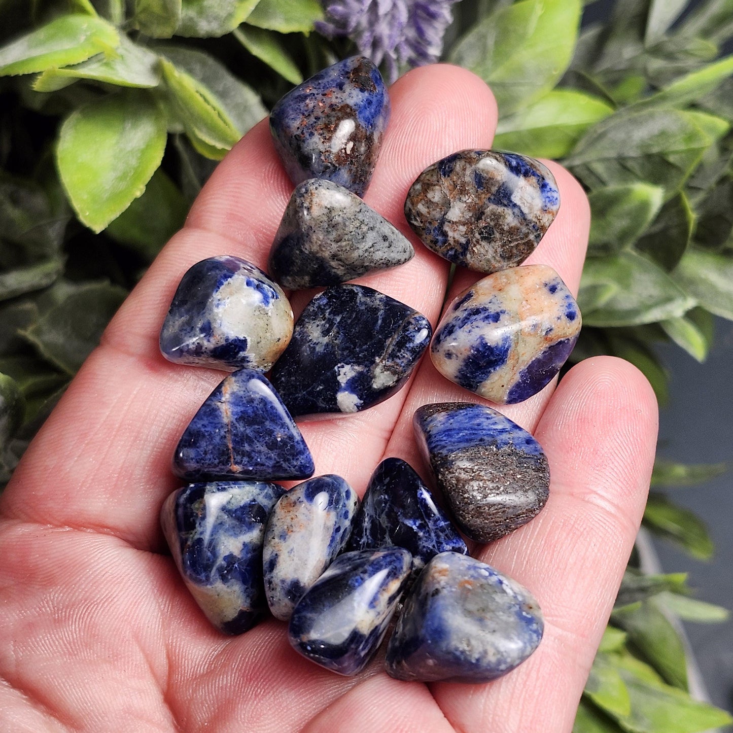Sodalite Crystal