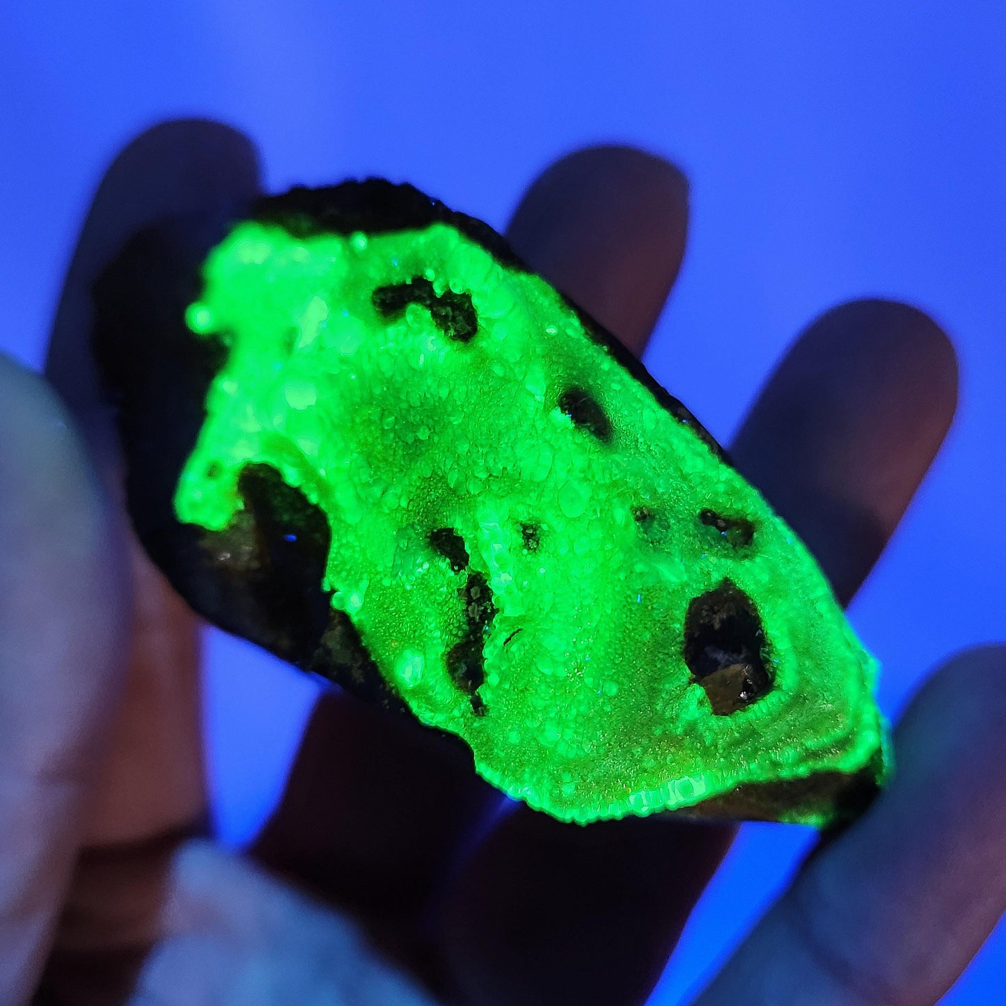 Hyalite Opal