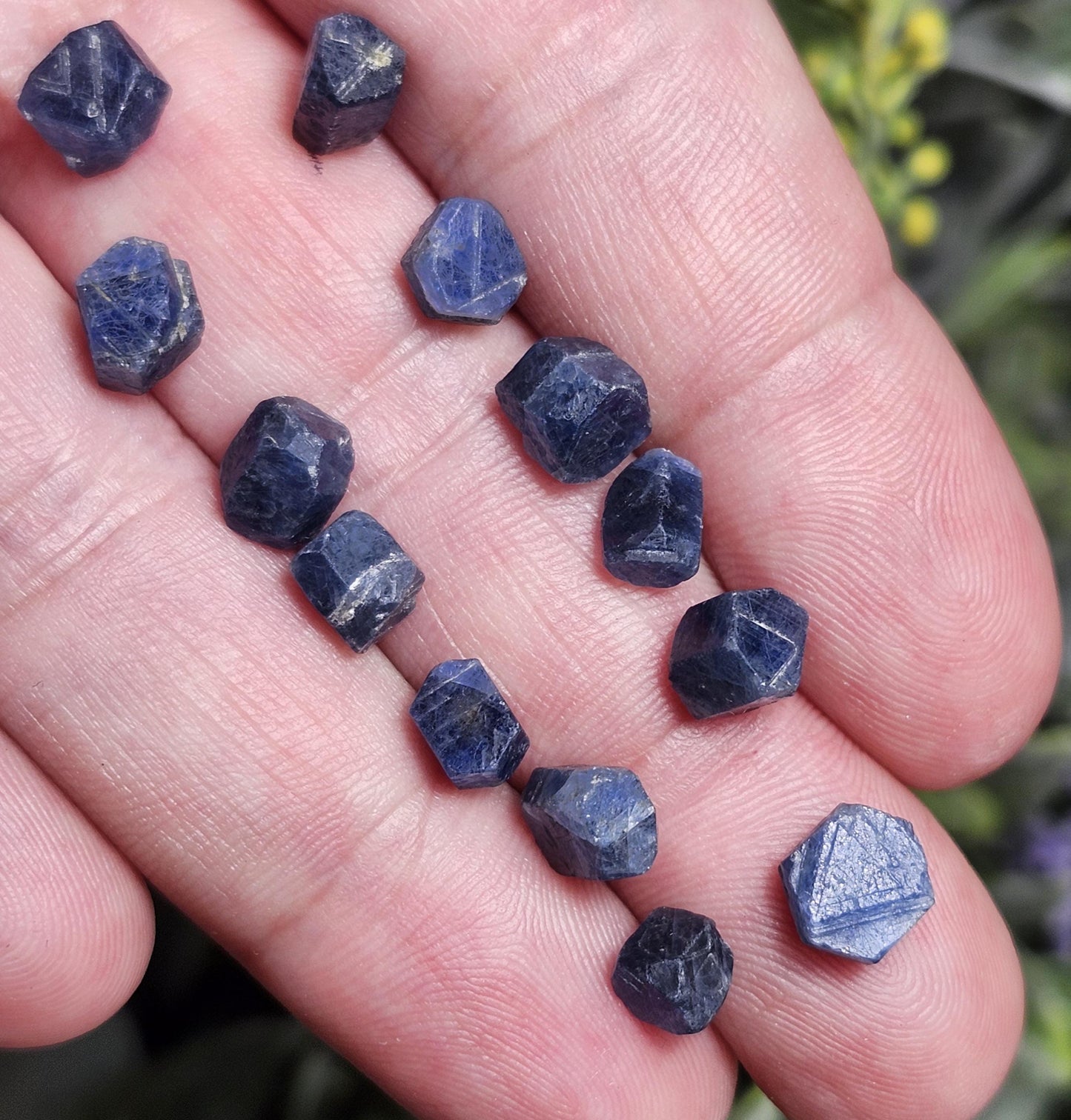 Record Keeper Sapphire