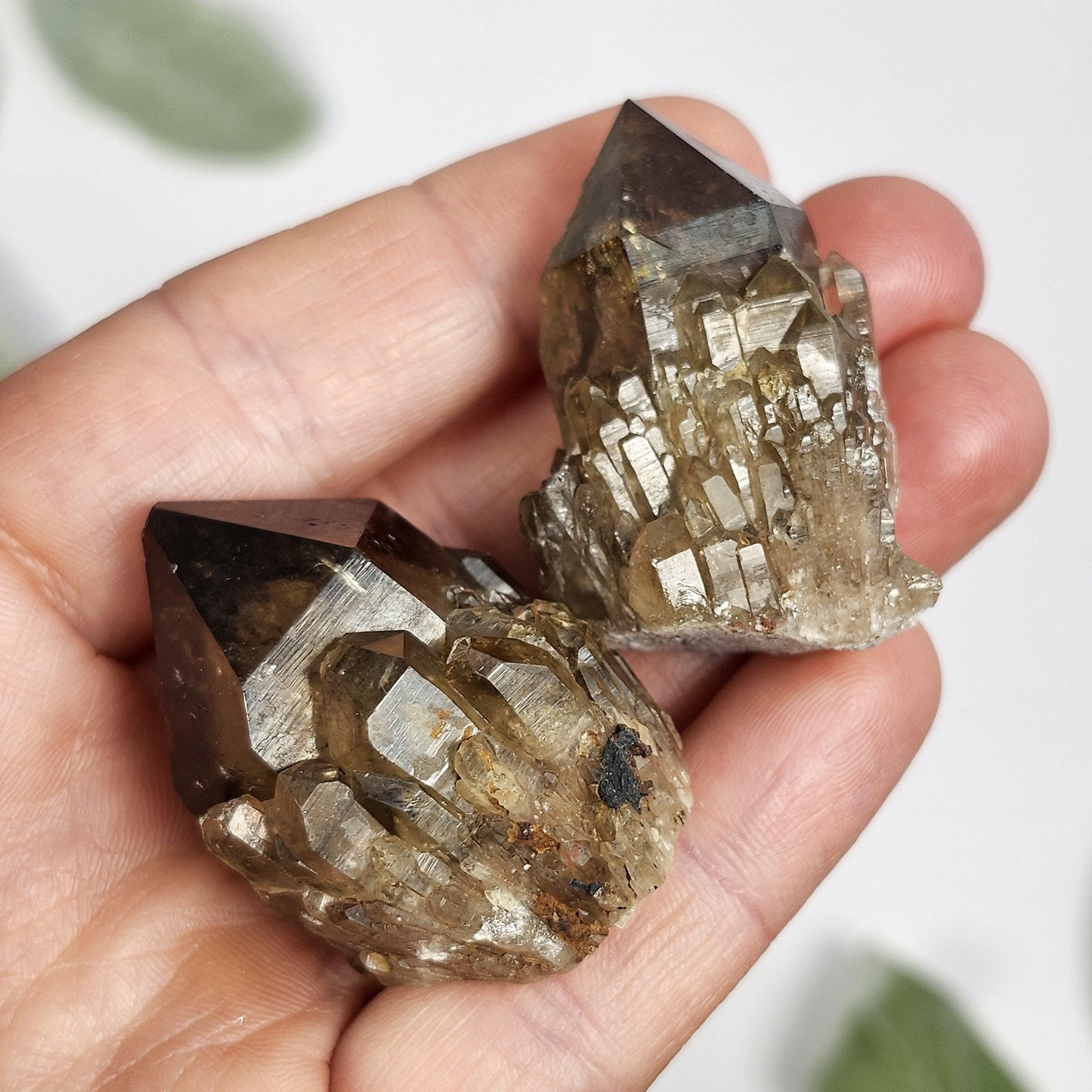 May include: Two smoky quartz crystal clusters with a brown and clear color. The crystals are pointed and have a rough texture.