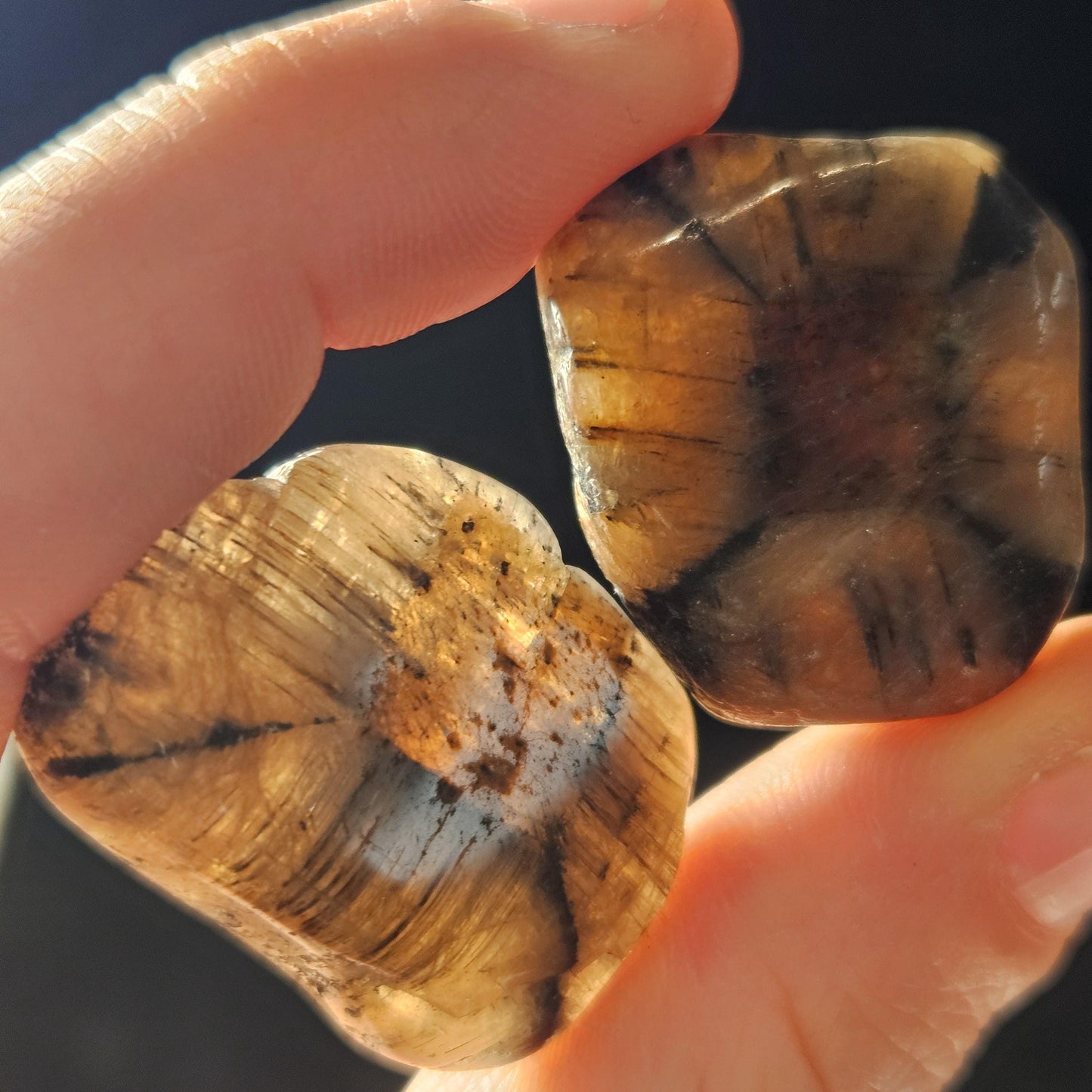 Chiastolite Crystal