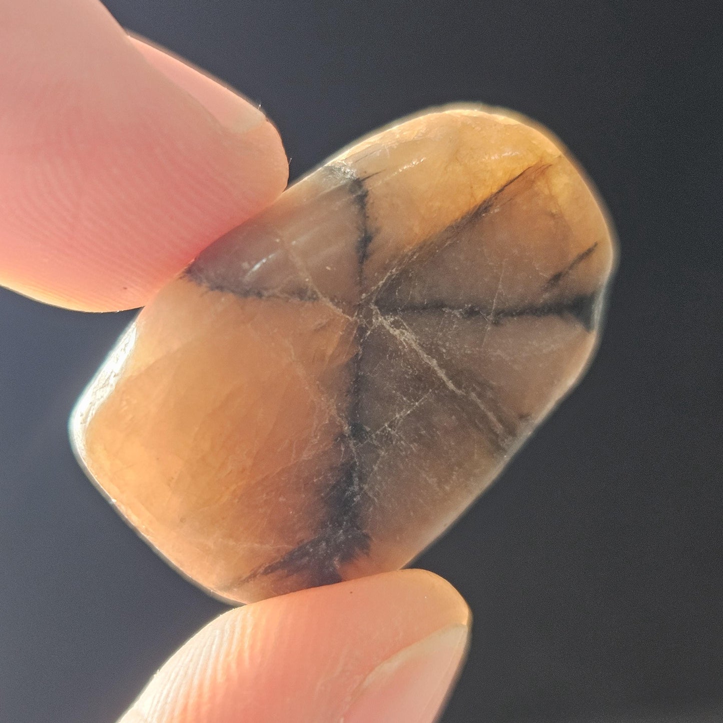 Chiastolite Crystal