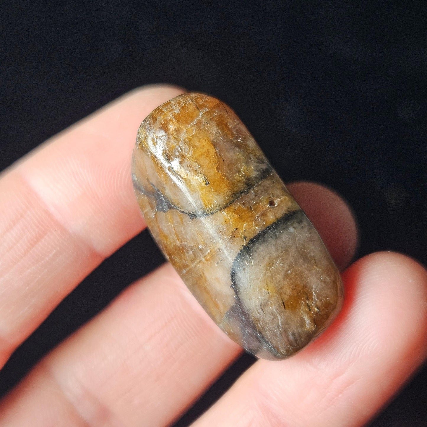 Chiastolite Crystal