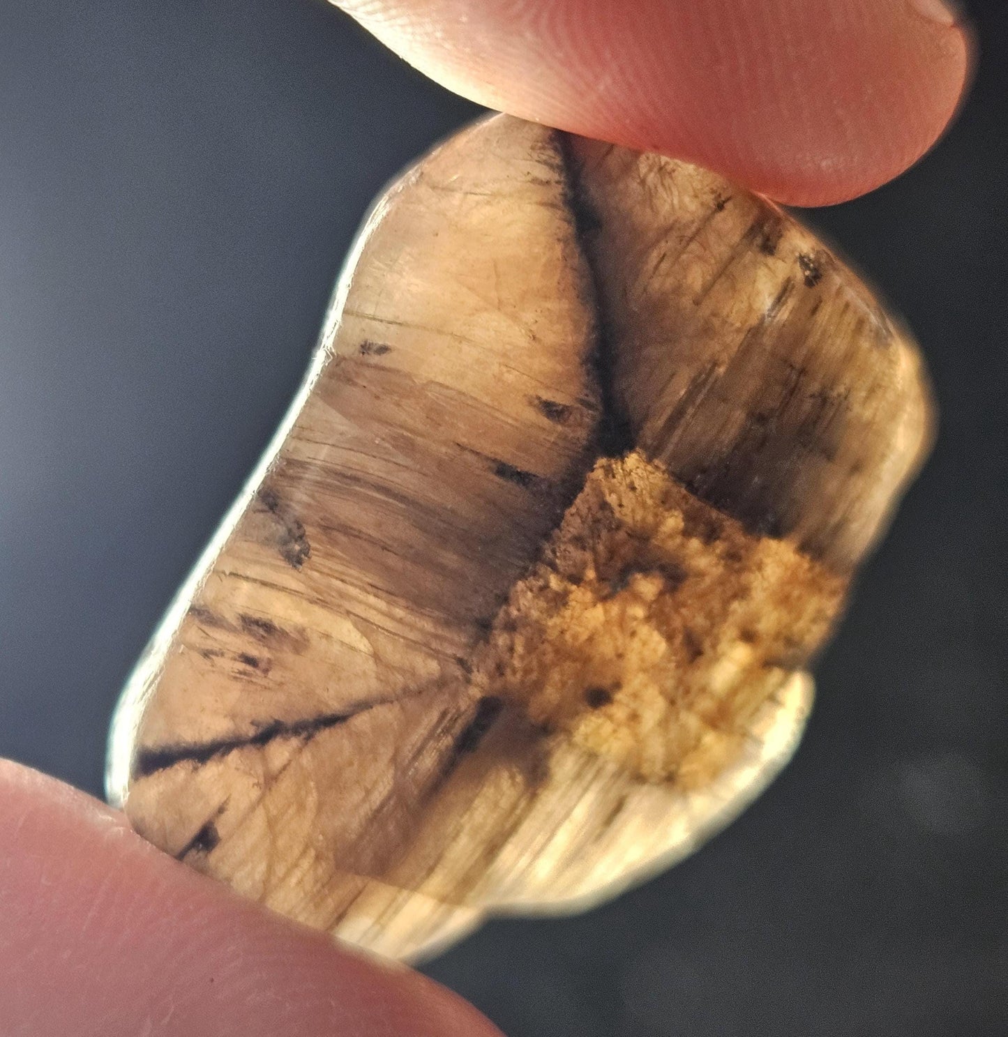 Chiastolite Crystal