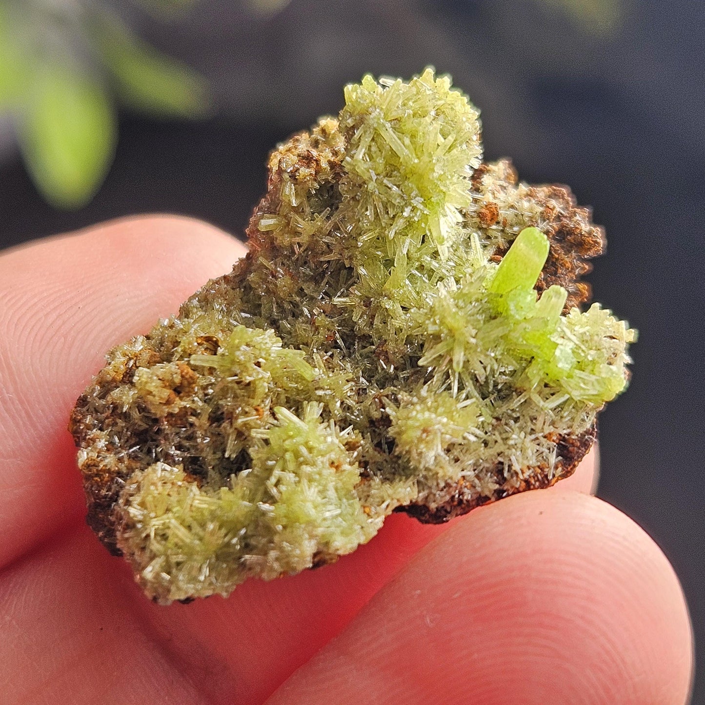 Starburst Pyromorphite Crystal