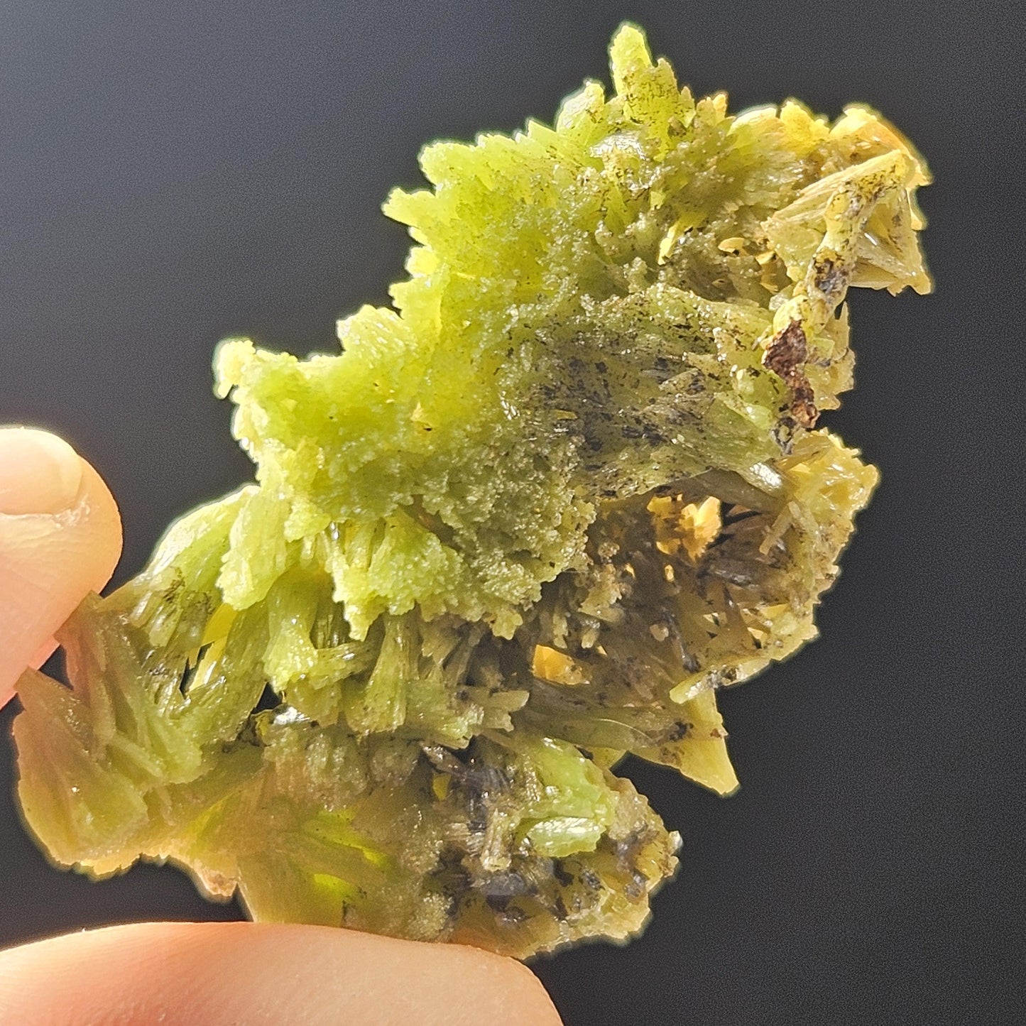 Pyromorphite Crystal