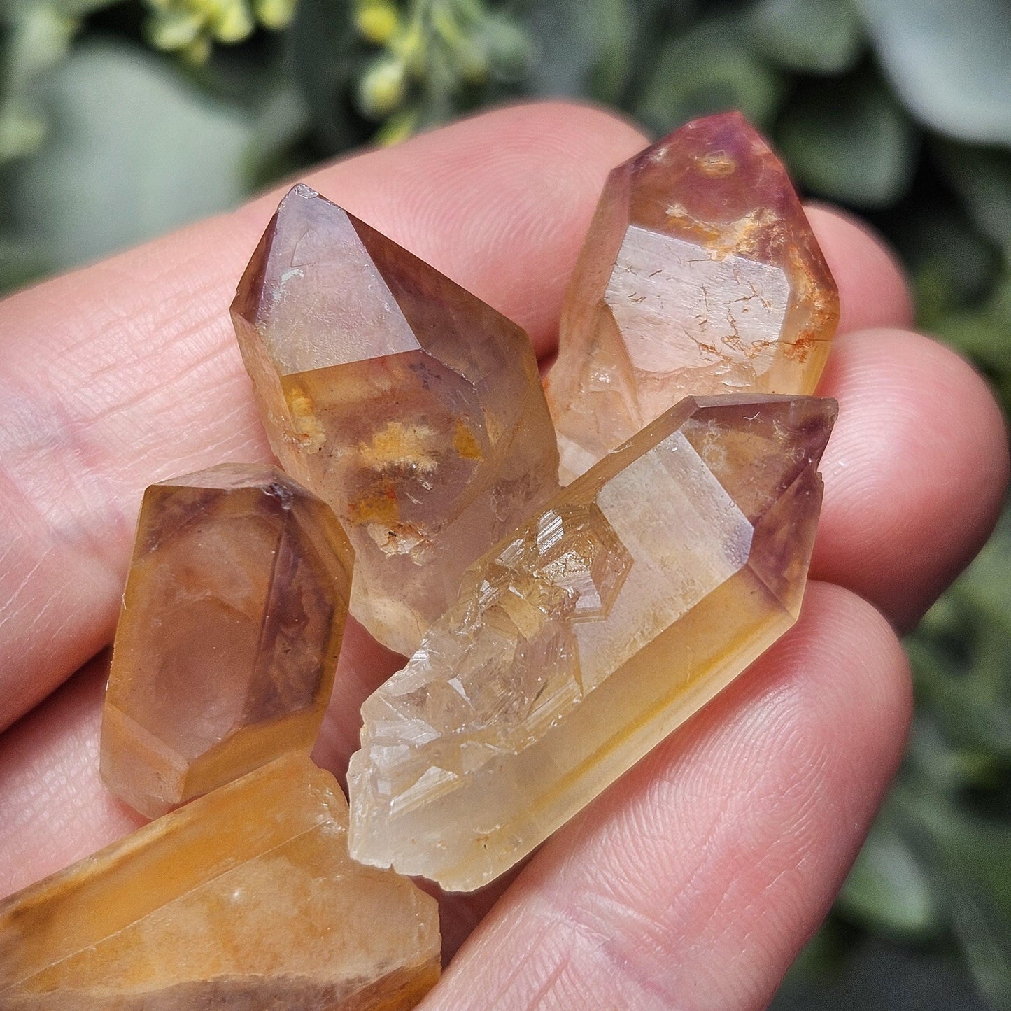 Trapiche Amethyst Quartz