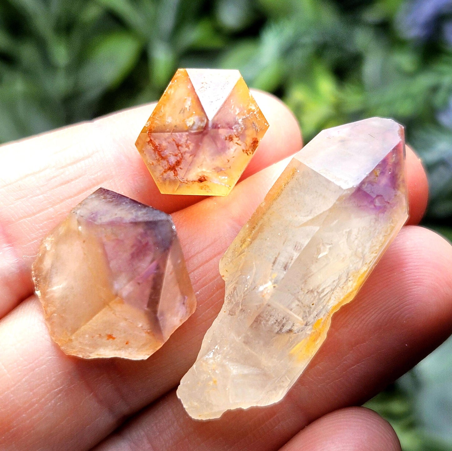 Trapiche Amethyst Quartz
