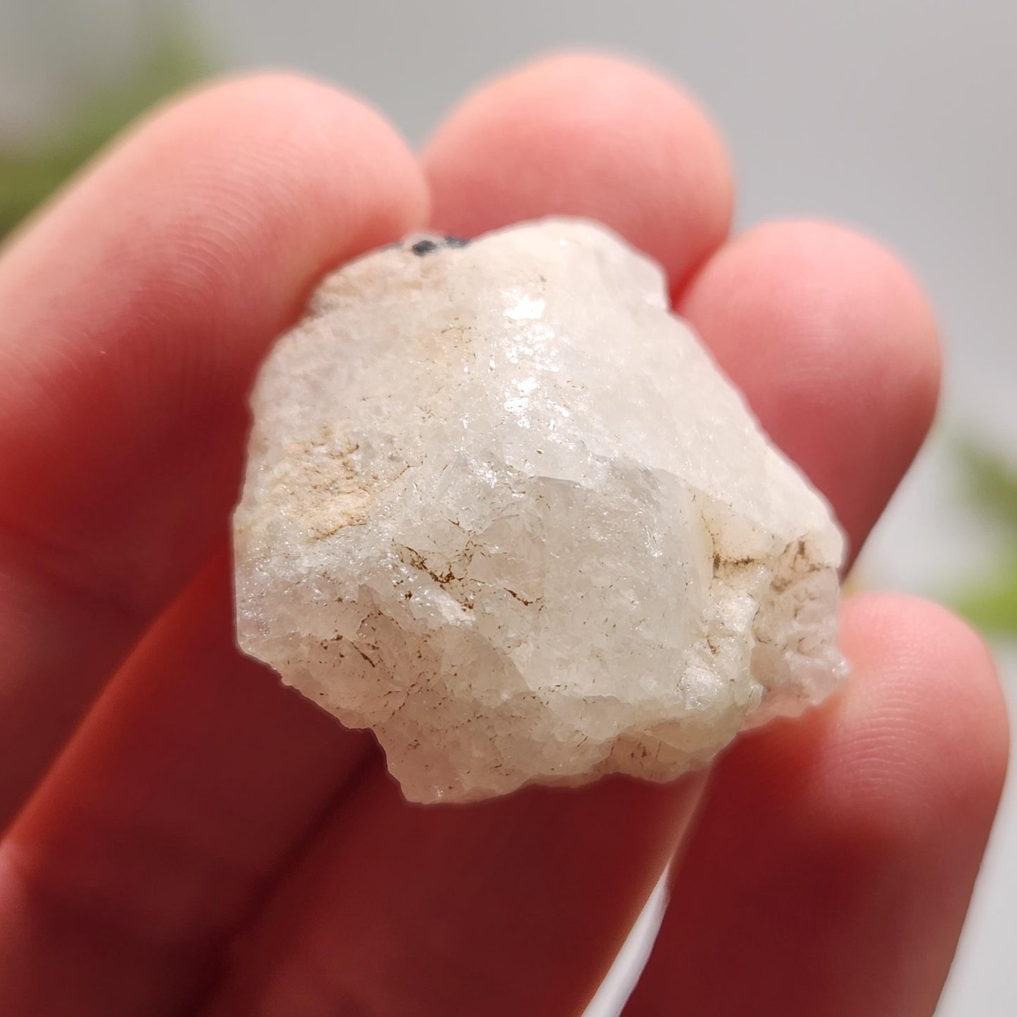 Nigerian Phenacite Crystal