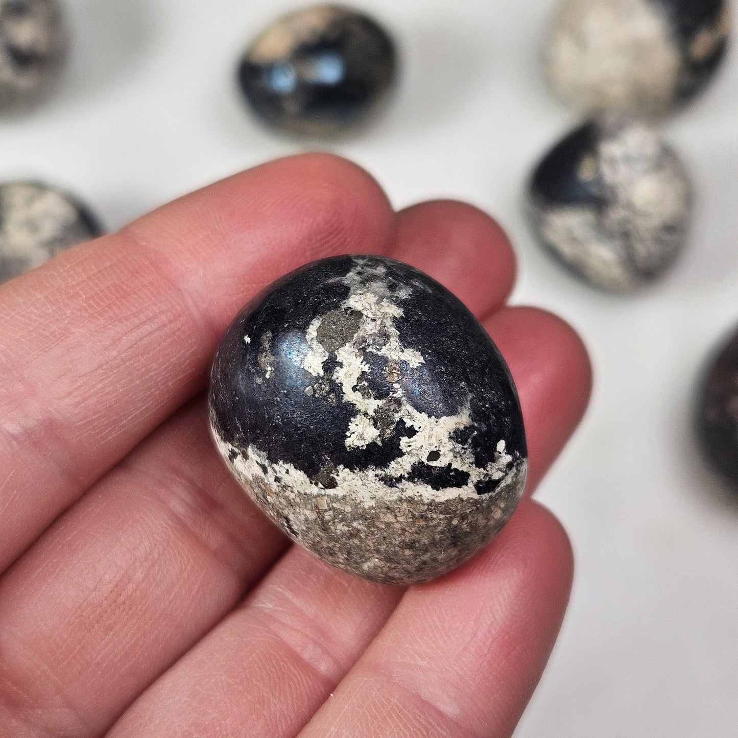 Covellite & Pyrite Specimen
