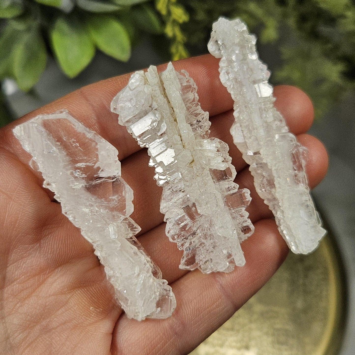 Skeletal Faden Quartz