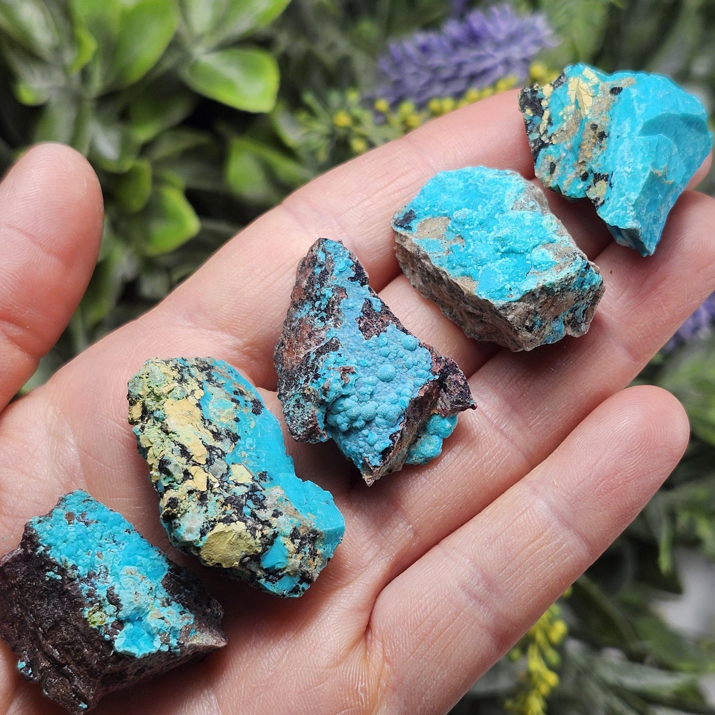 Chrysocolla Specimen