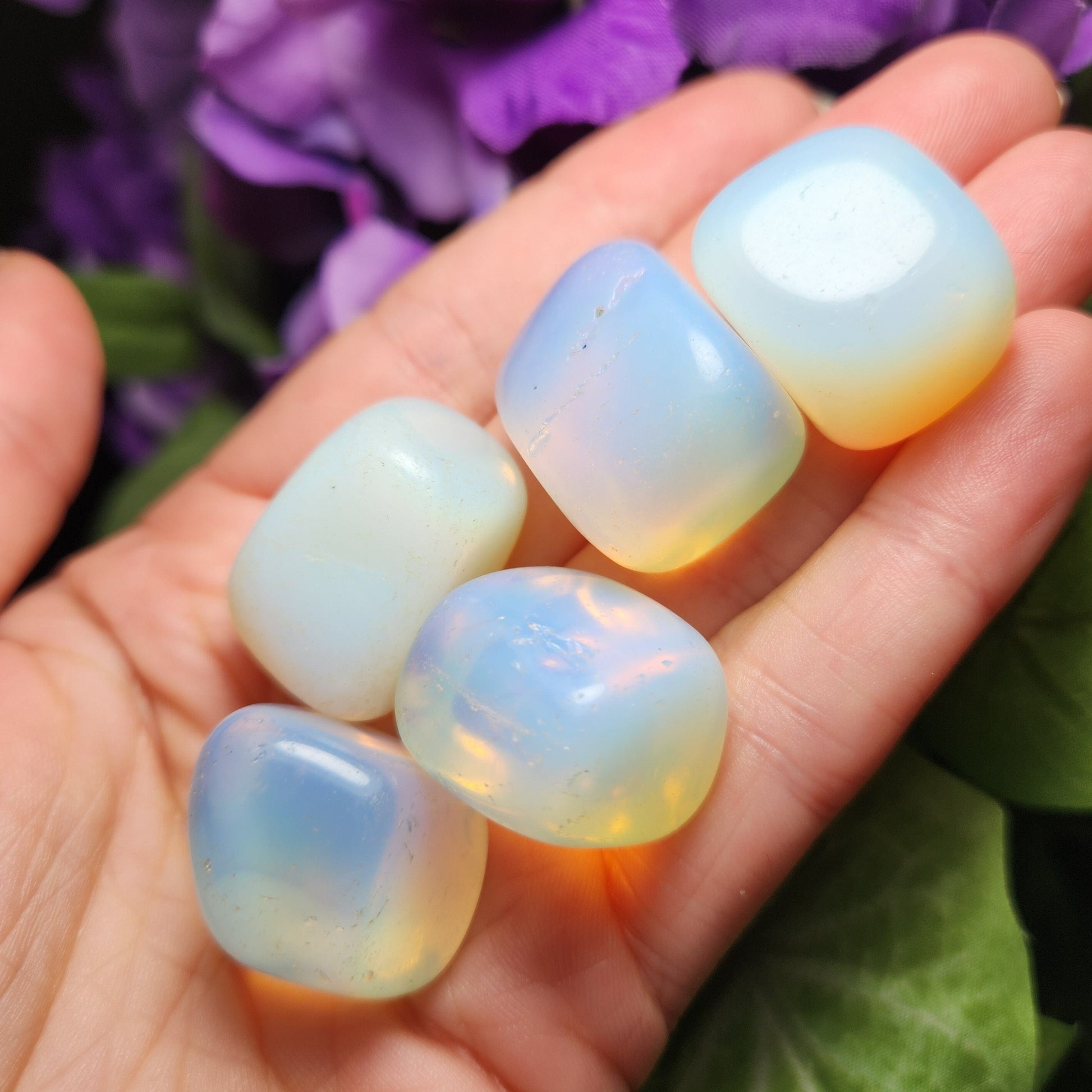 May include: Five tumbled opal stones in various shades of white and light blue with iridescent highlights.