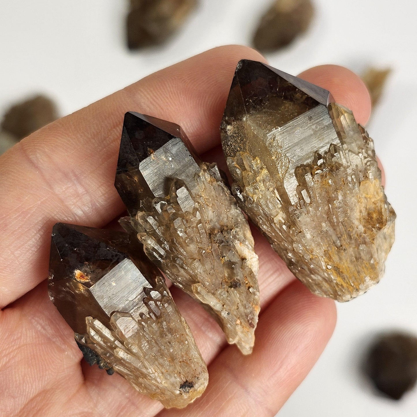 Kundalini Smoky Quartz