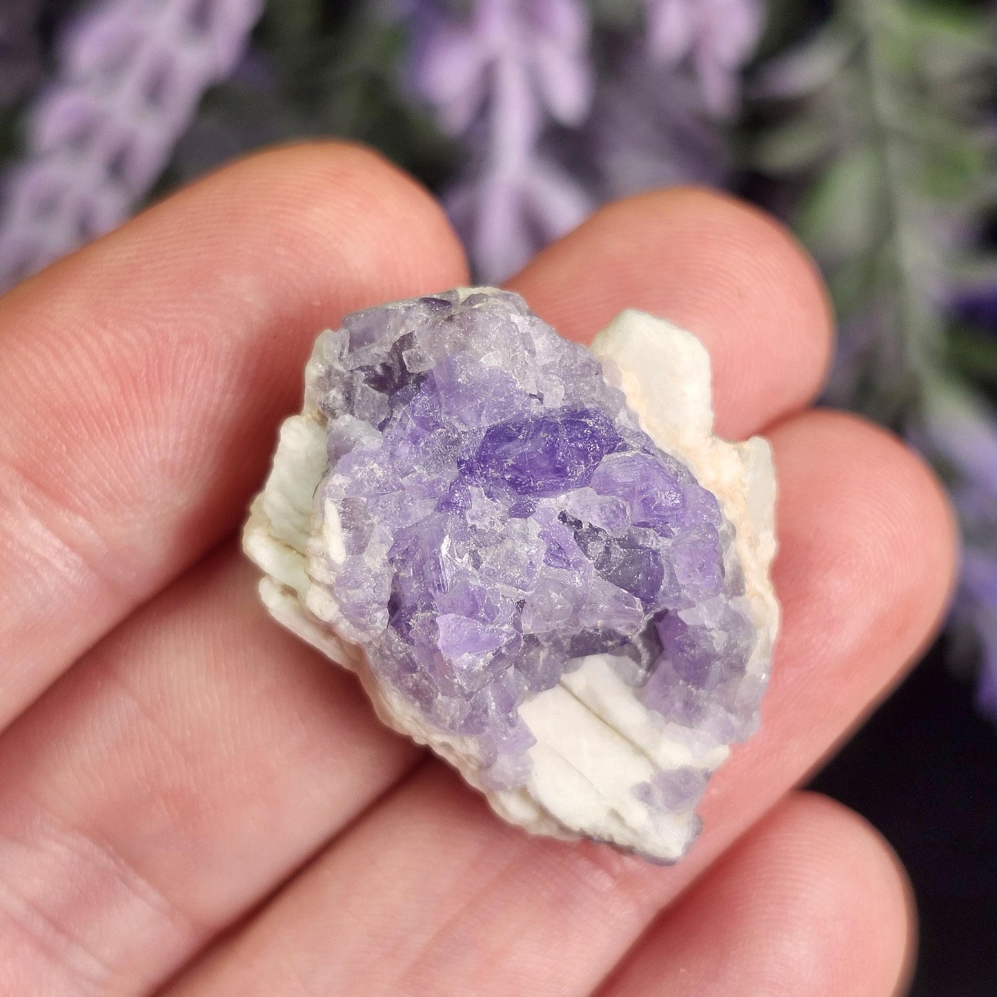 Purple Apatite