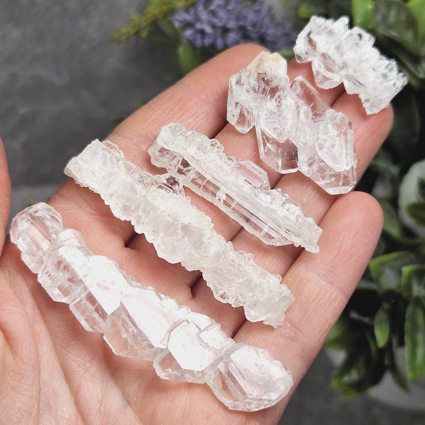 Skeletal Faden Quartz