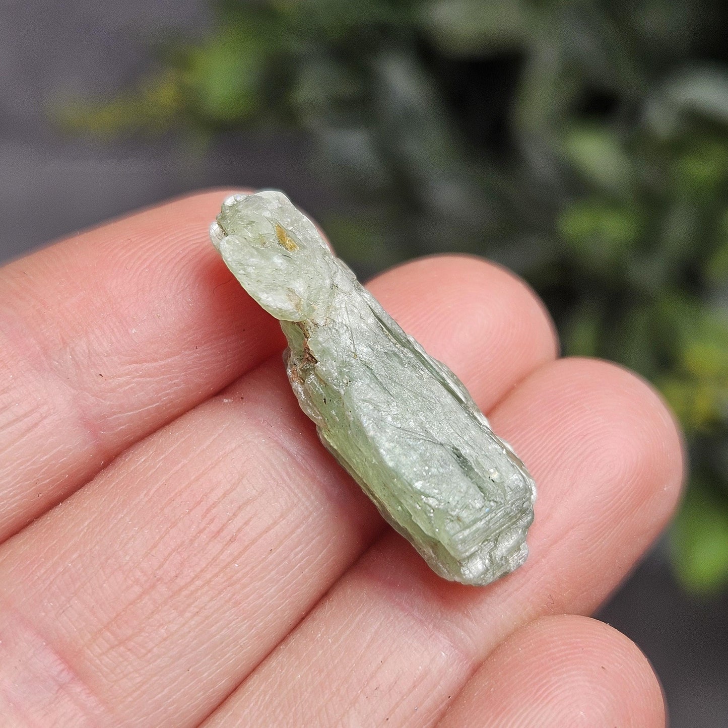 Green Kyanite Crystal