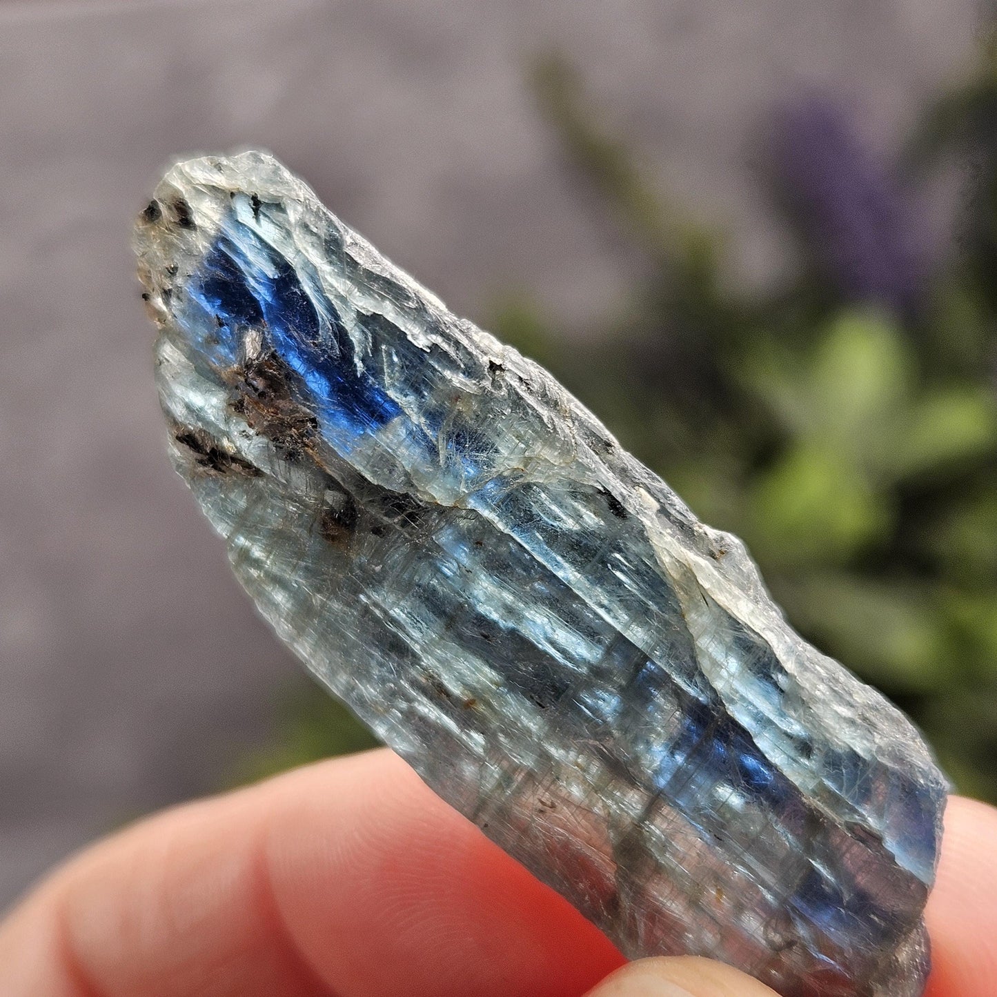 Gemmy Blue Kyanite Crystal