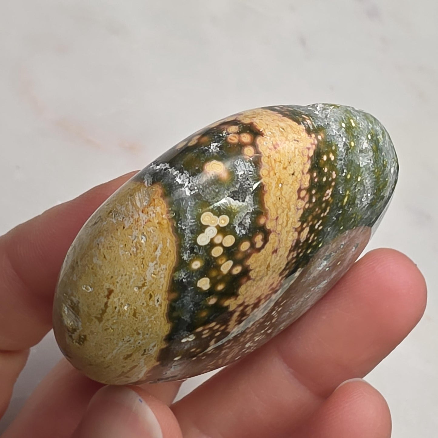 Orbicular Ocean Jasper Palm Stone