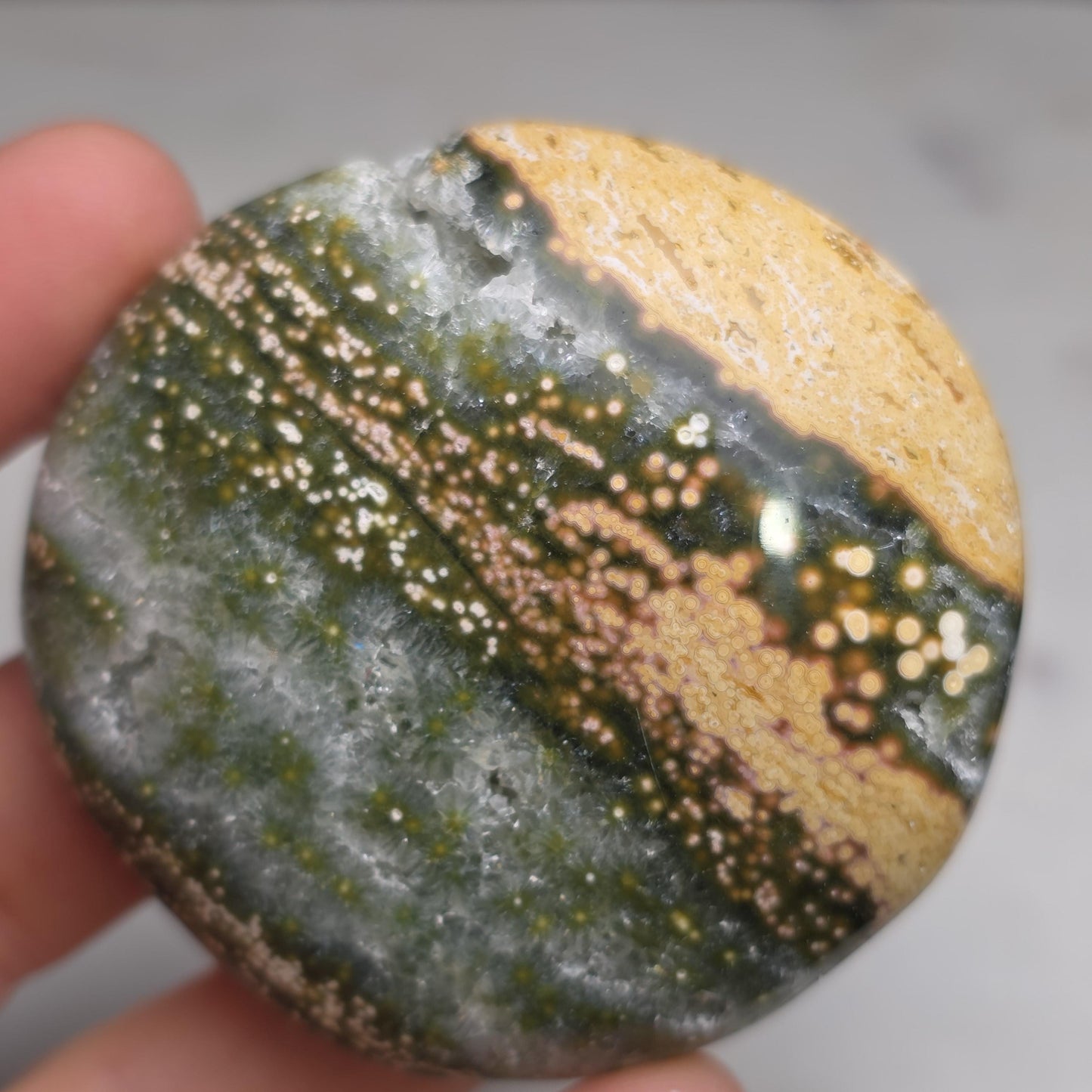 Orbicular Ocean Jasper Palm Stone