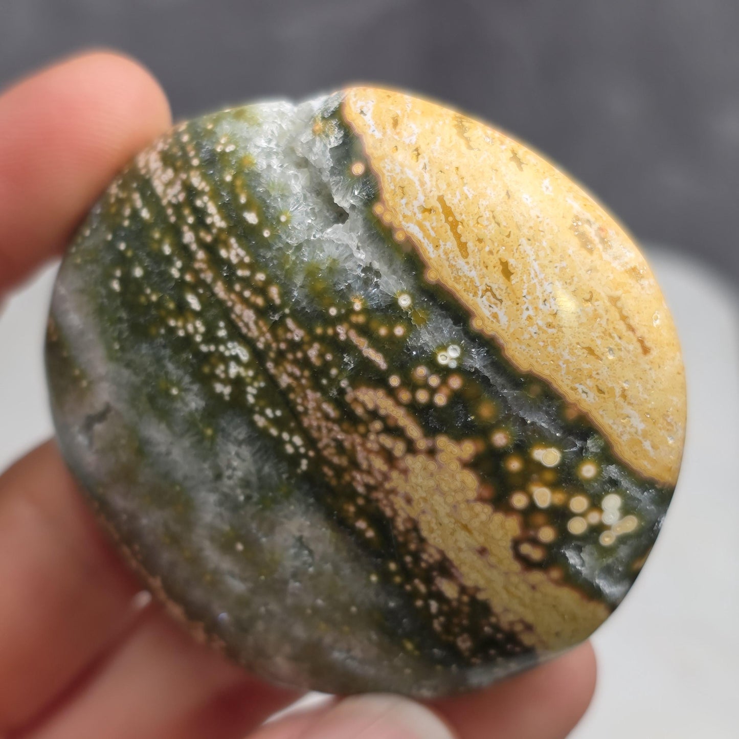 Orbicular Ocean Jasper Palm Stone