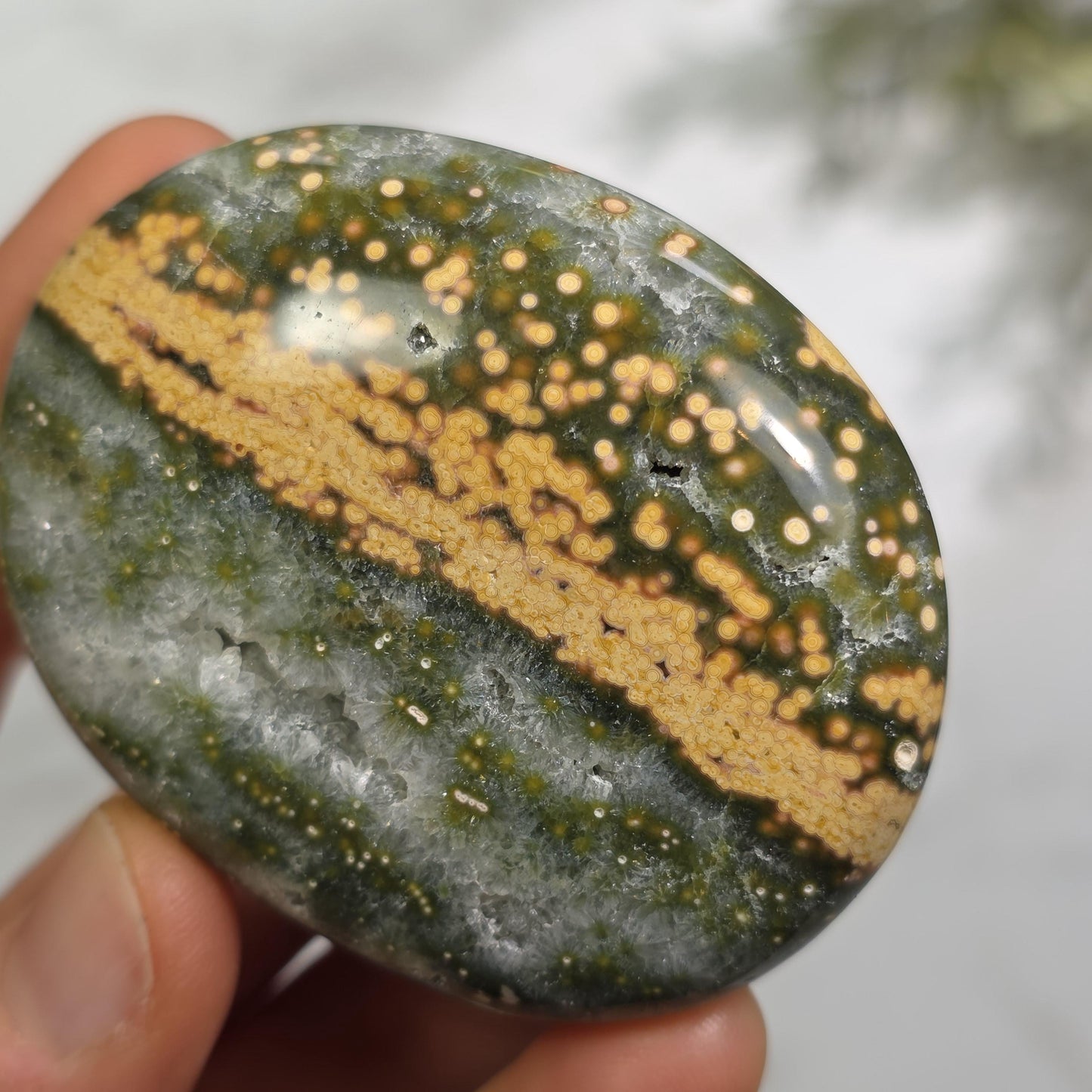 Orbicular Ocean Jasper Palm Stone