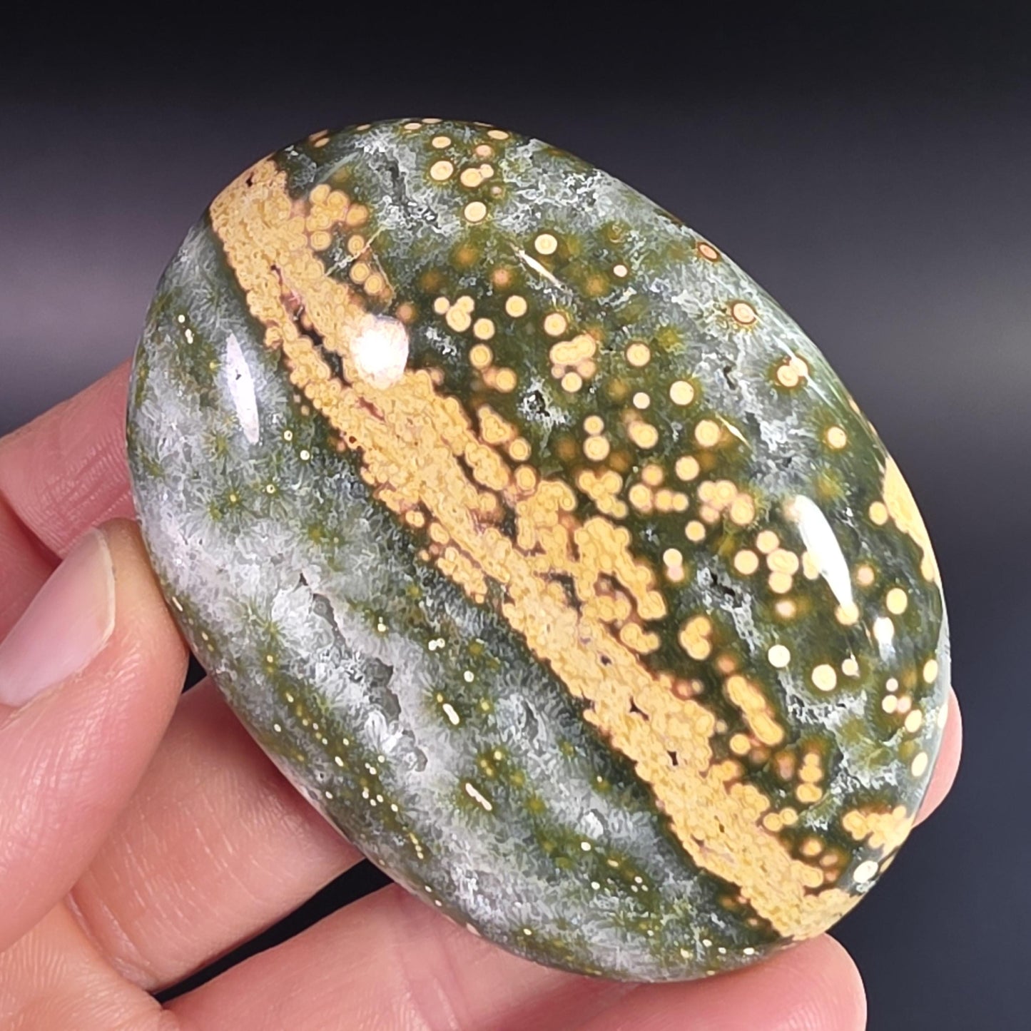 Orbicular Ocean Jasper Palm Stone