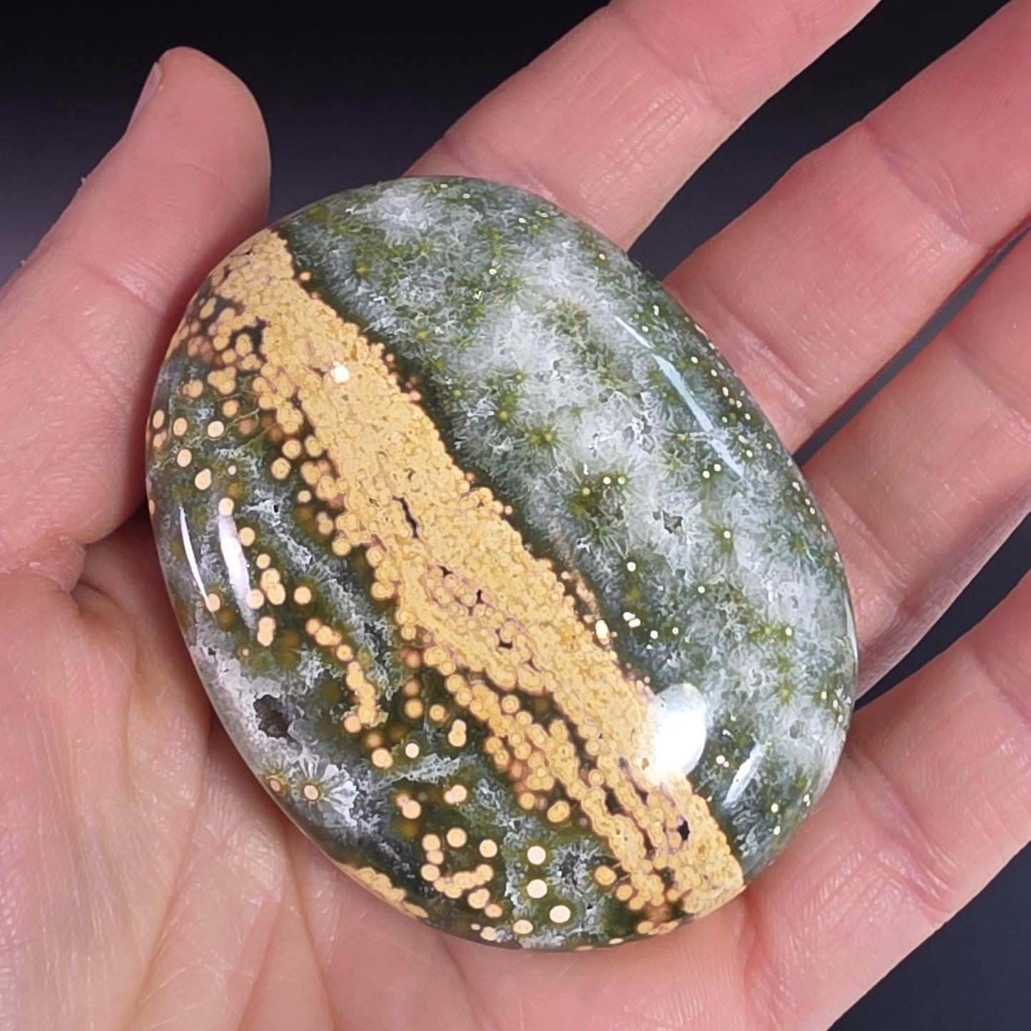 Orbicular Ocean Jasper Palm Stone