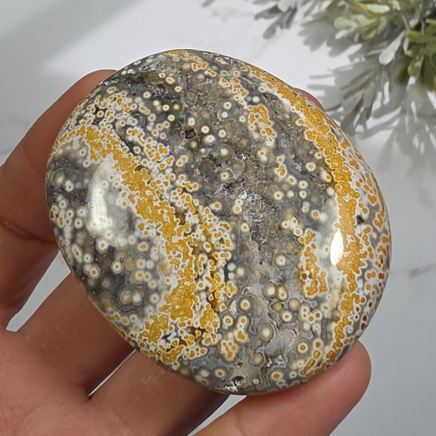 Orbicular Ocean Jasper Palm Stone