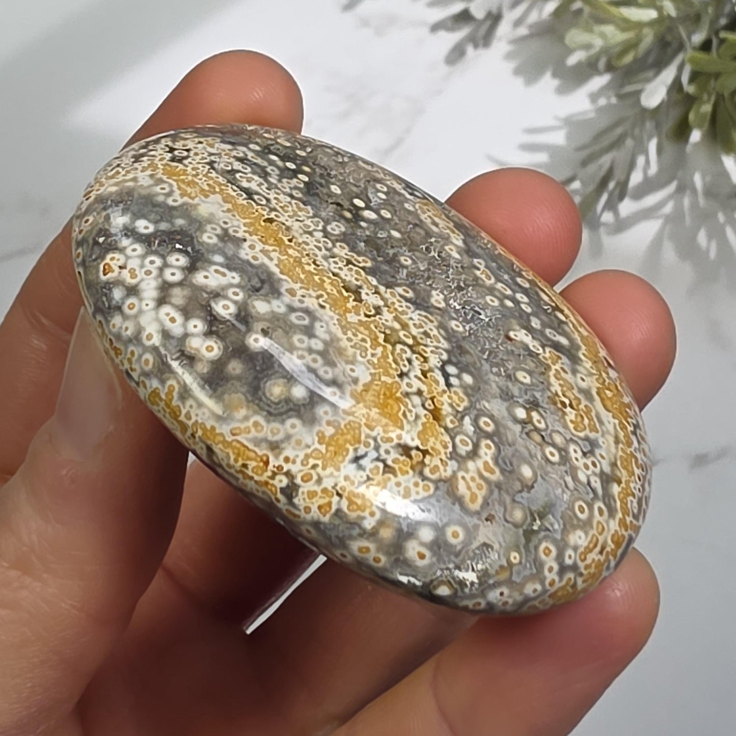 Orbicular Ocean Jasper Palm Stone