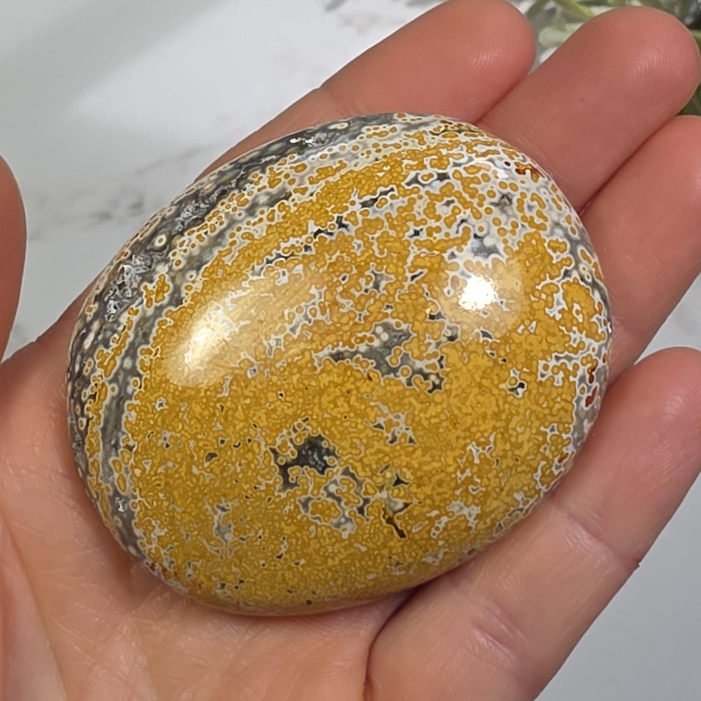 Orbicular Ocean Jasper Palm Stone