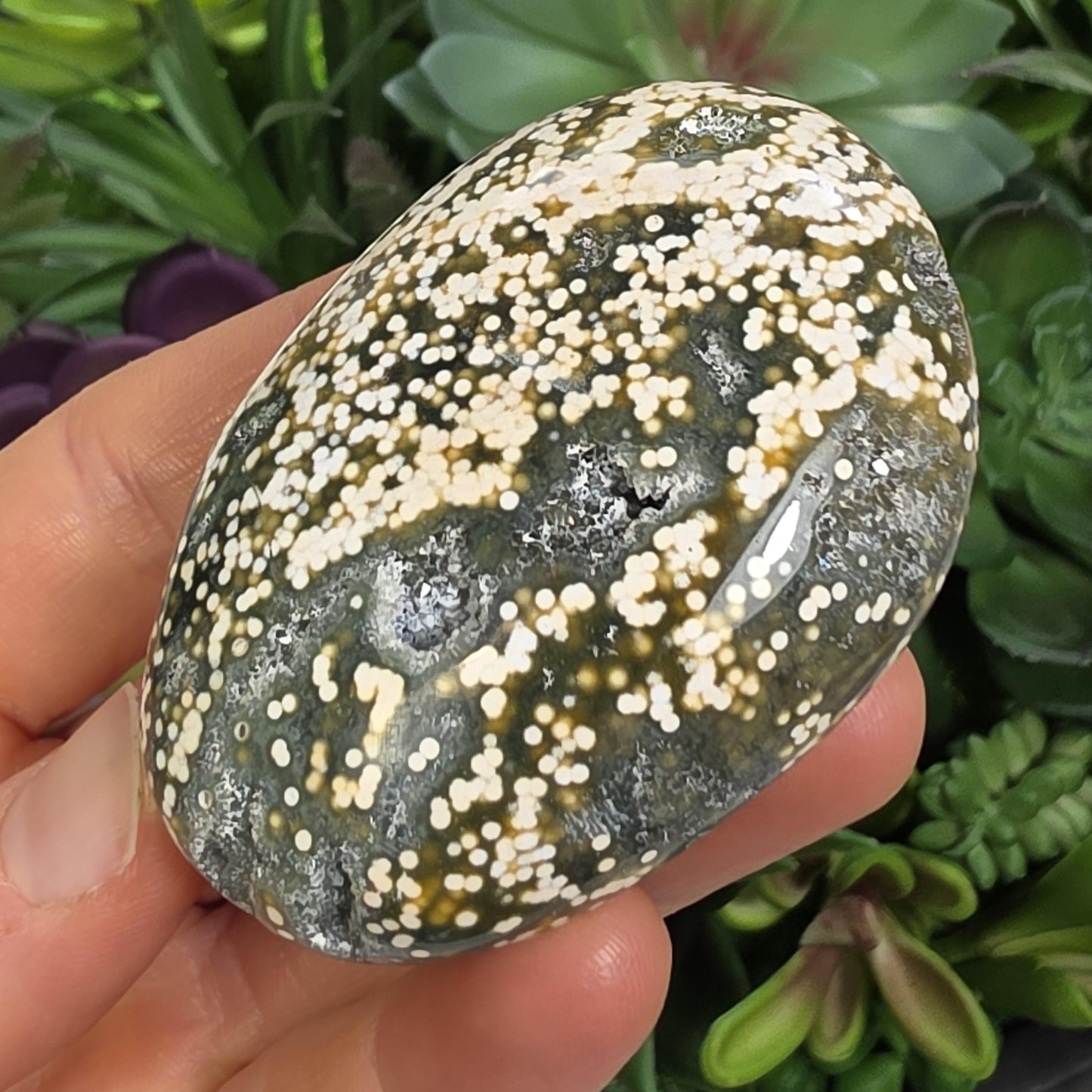 Orbicular Ocean Jasper Palm Stone