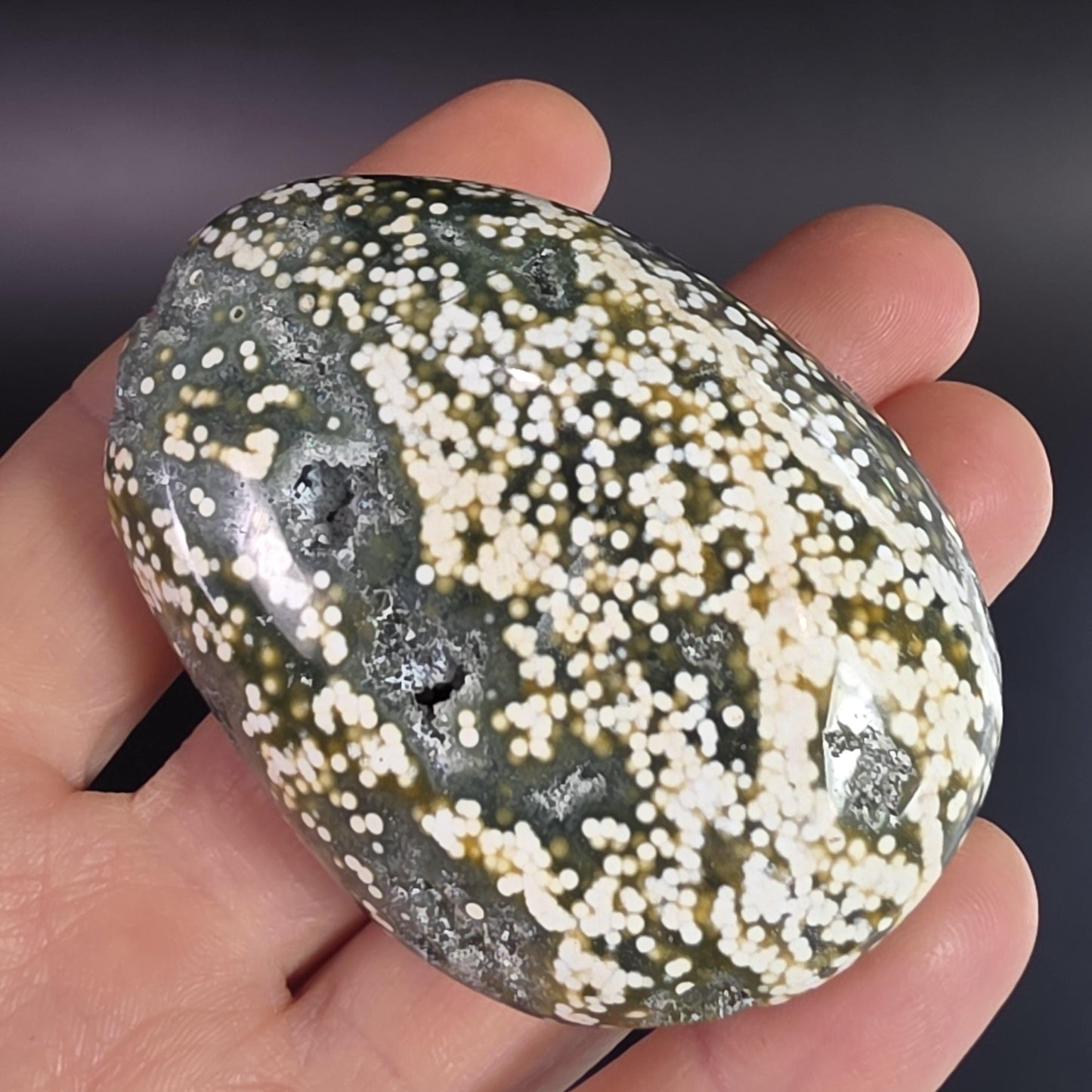 Orbicular Ocean Jasper Palm Stone