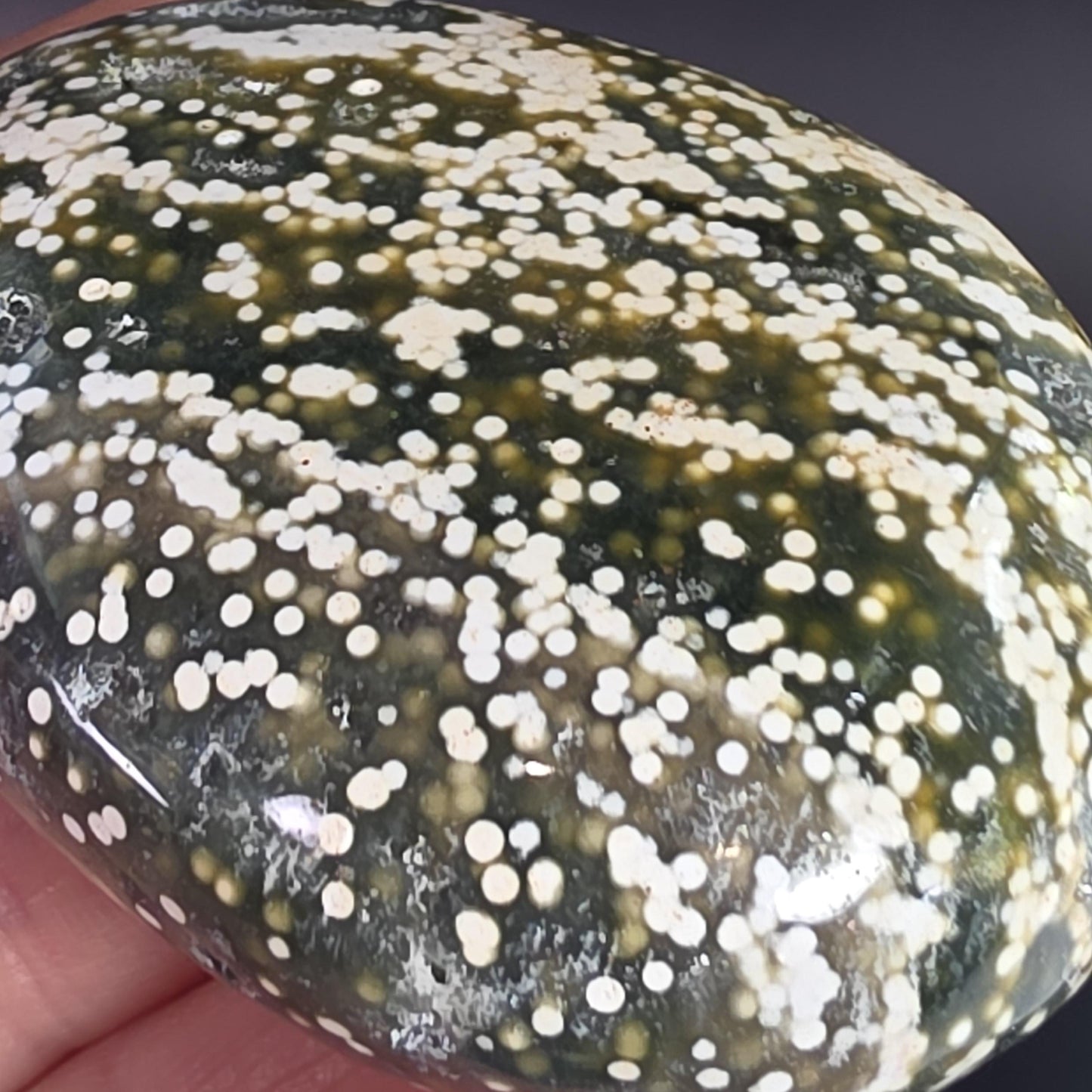 Orbicular Ocean Jasper Palm Stone