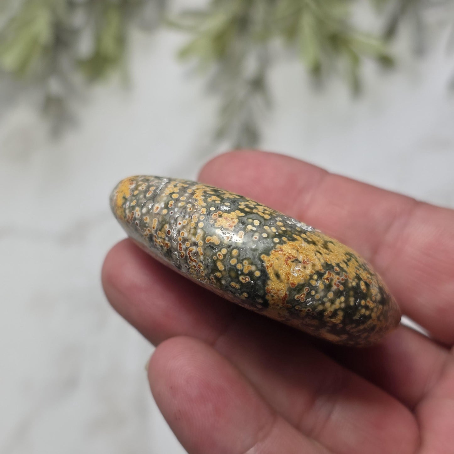 Orbicular Ocean Jasper Palm Stone