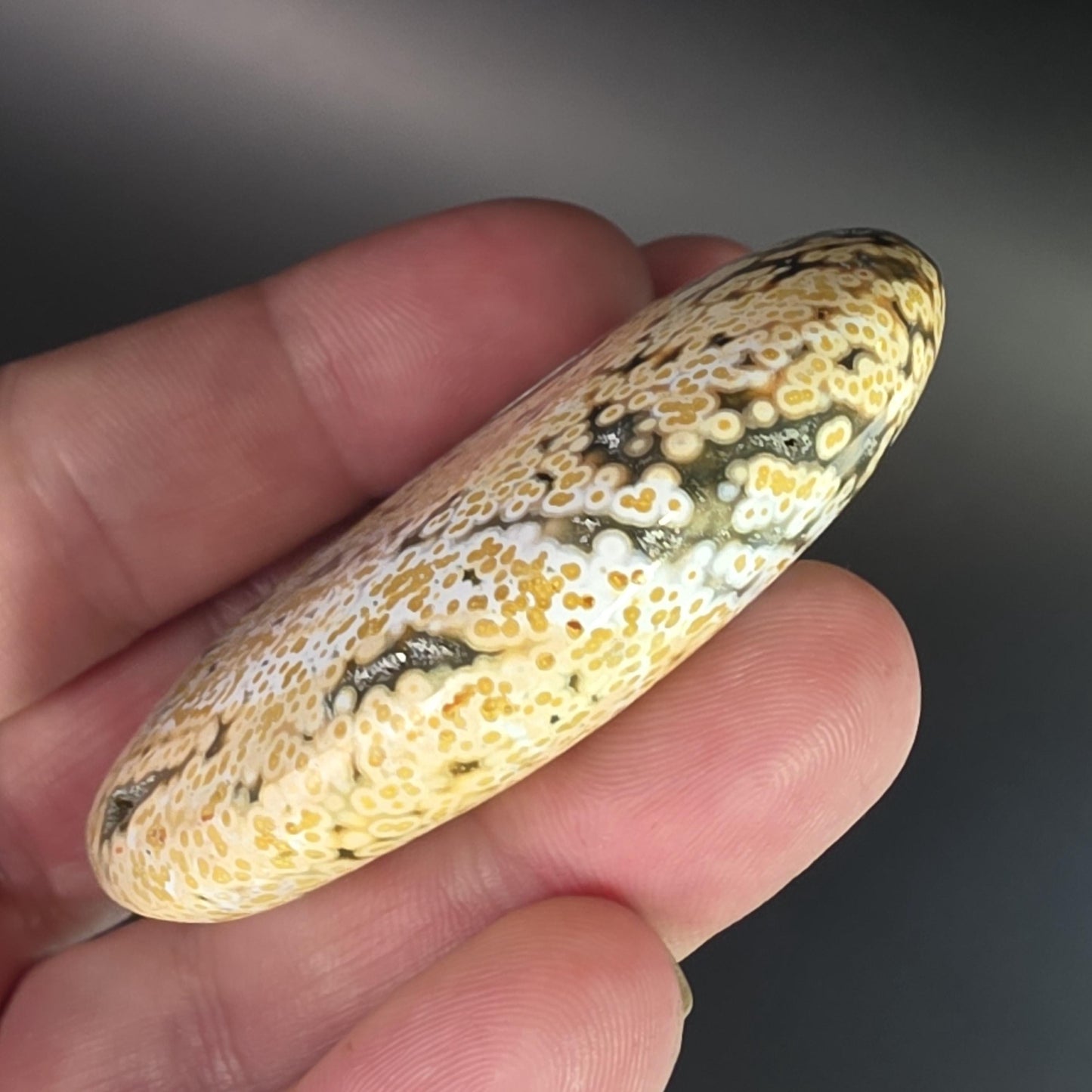 Orbicular Ocean Jasper Palm Stone