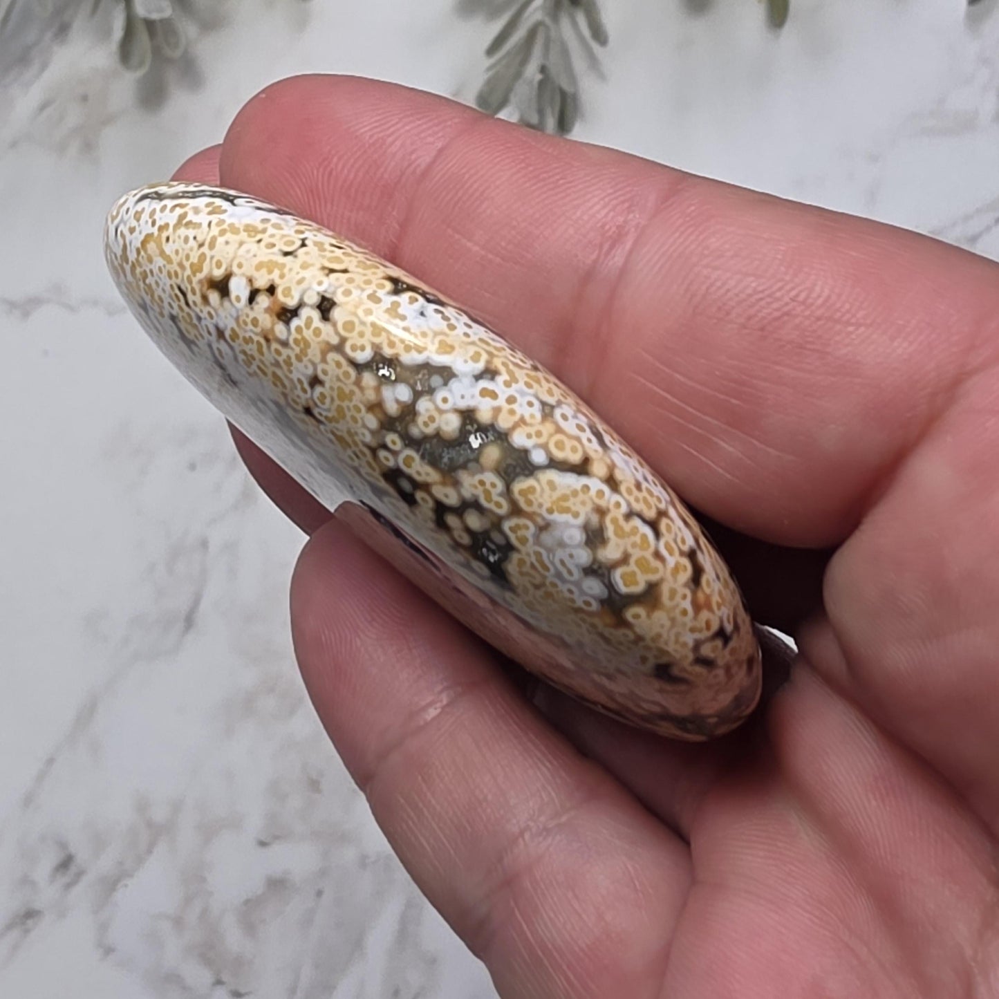 Orbicular Ocean Jasper Palm Stone