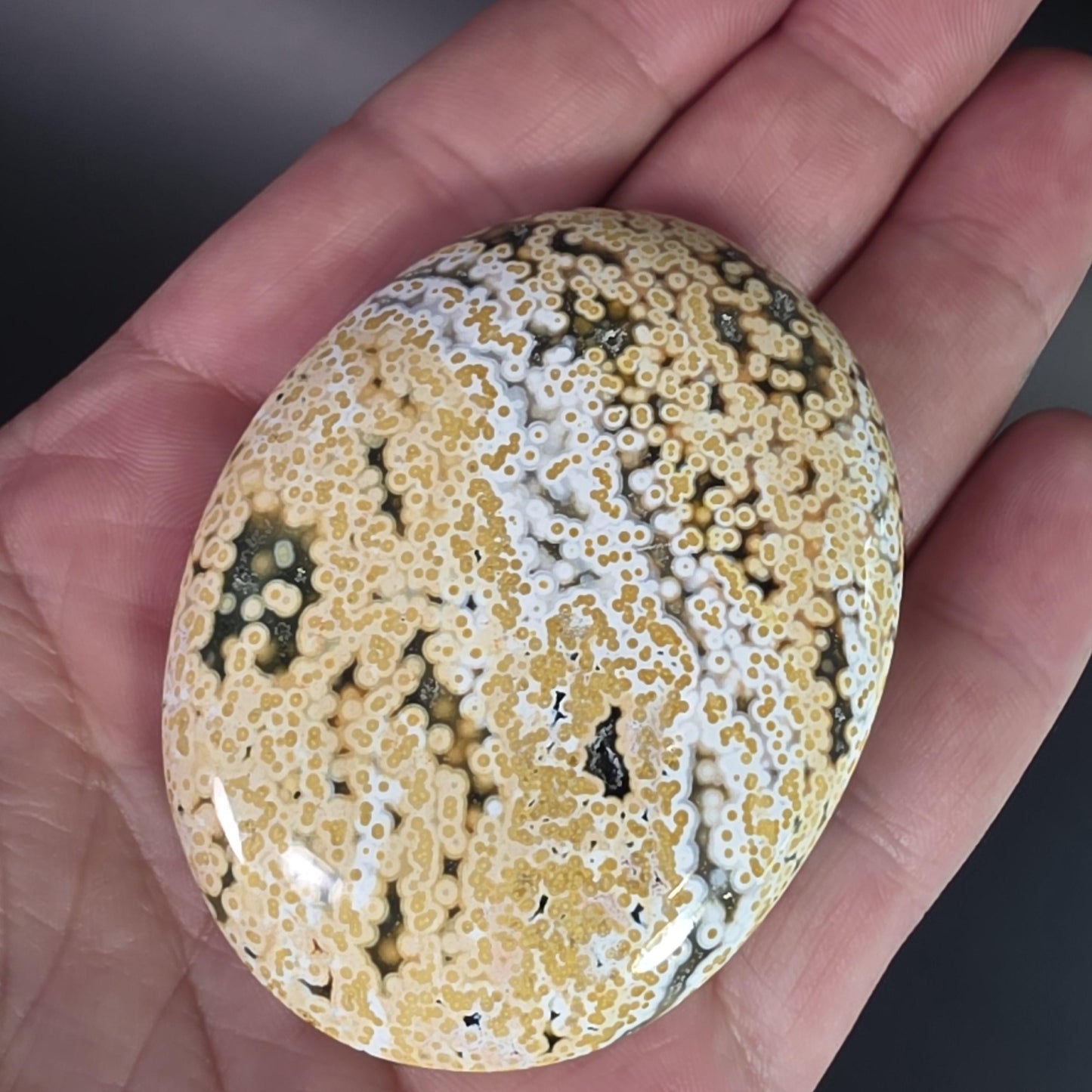 Orbicular Ocean Jasper Palm Stone