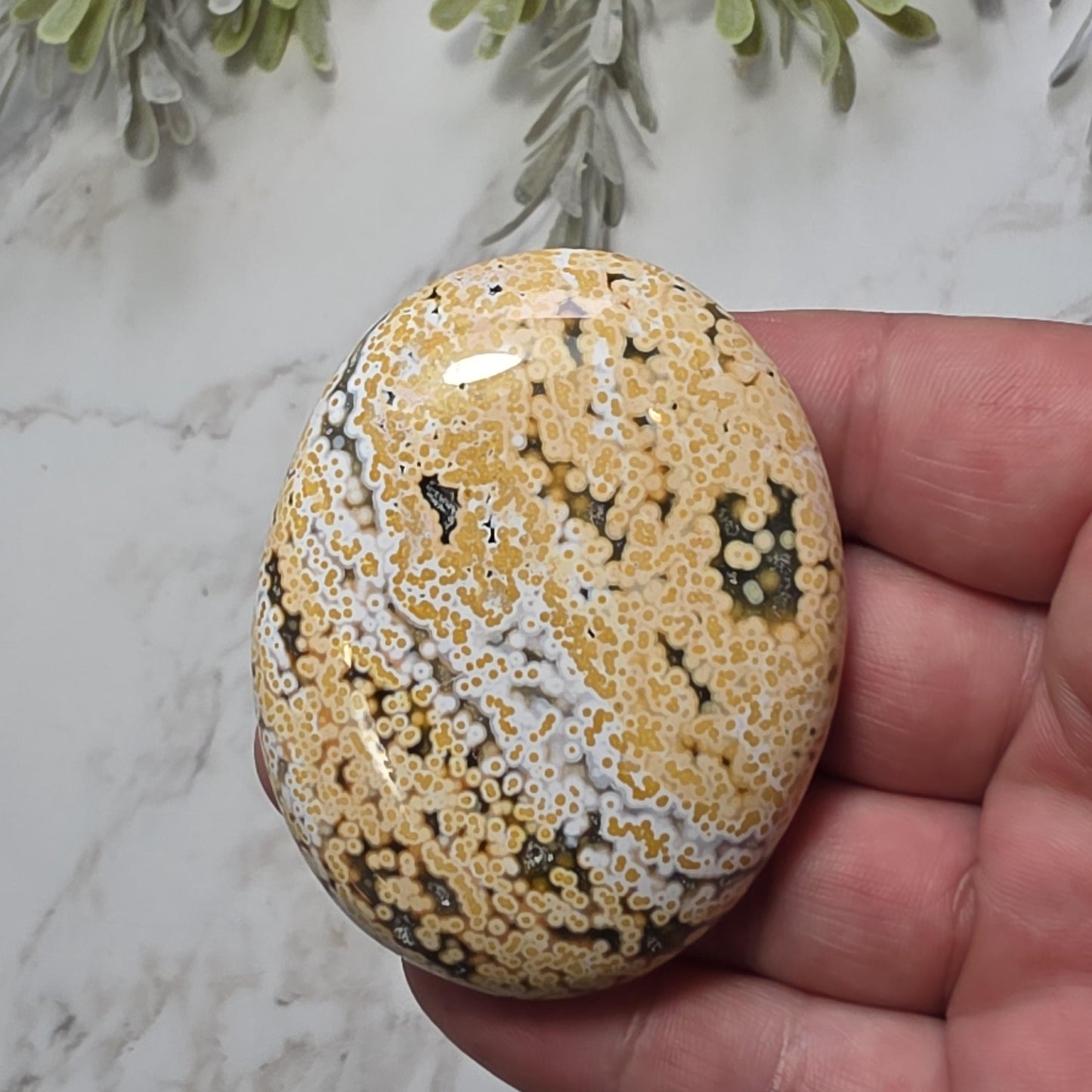 Orbicular Ocean Jasper Palm Stone