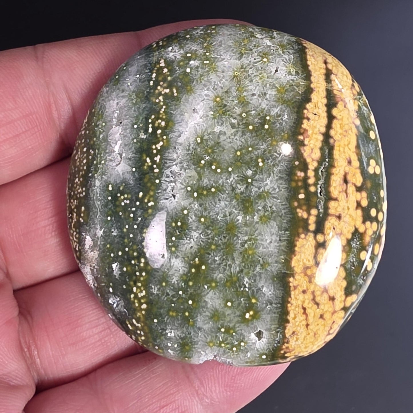 Orbicular Ocean Jasper Palm Stone
