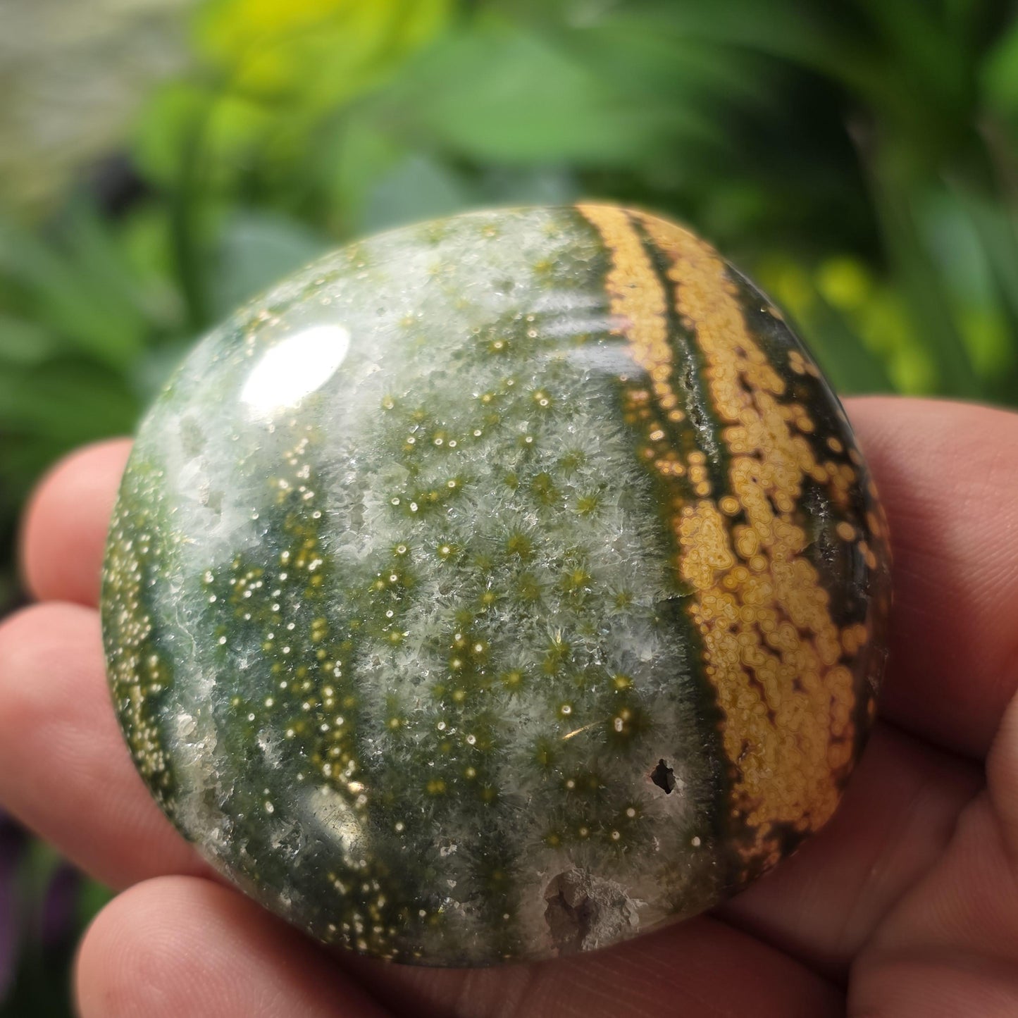 Orbicular Ocean Jasper Palm Stone