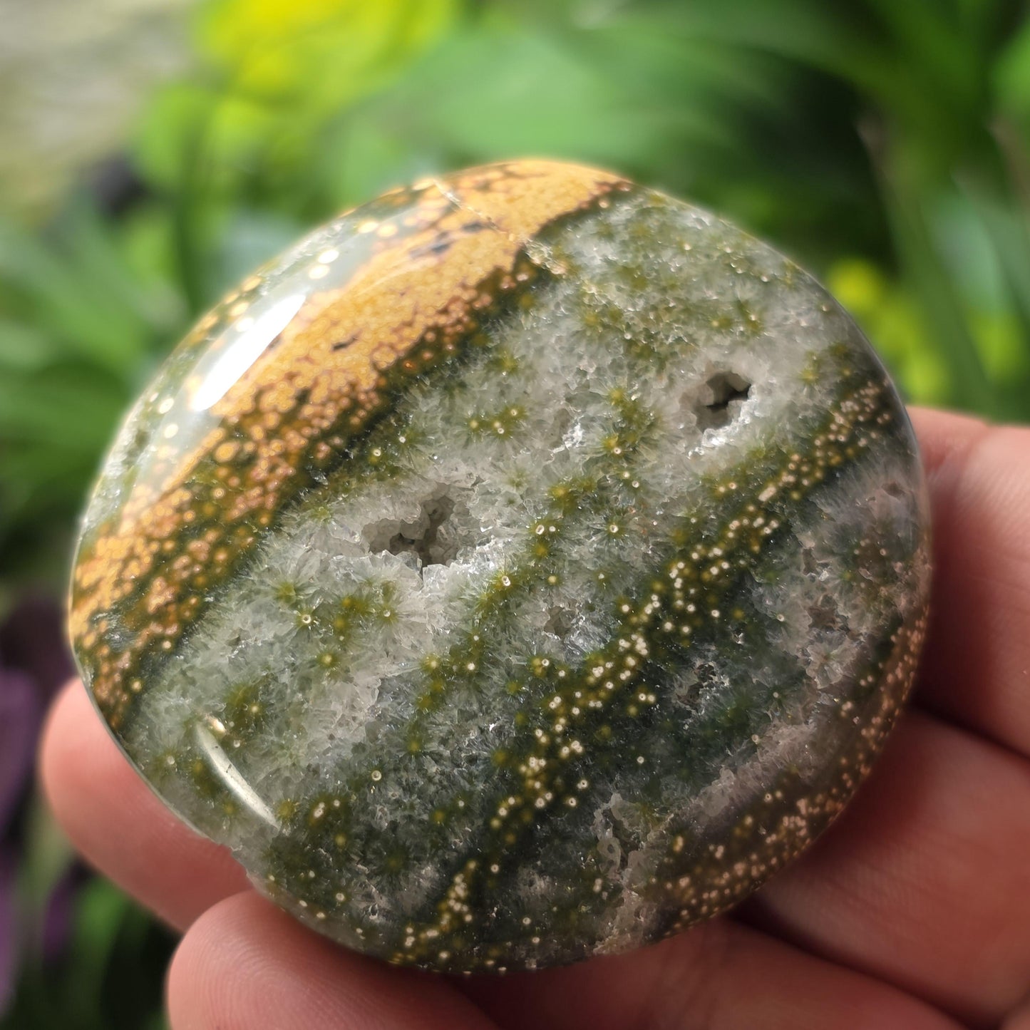 Orbicular Ocean Jasper Palm Stone