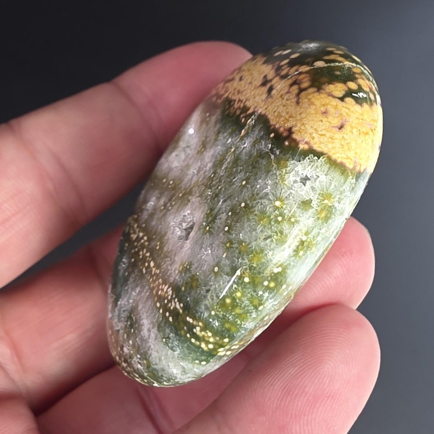 Orbicular Ocean Jasper Palm Stone
