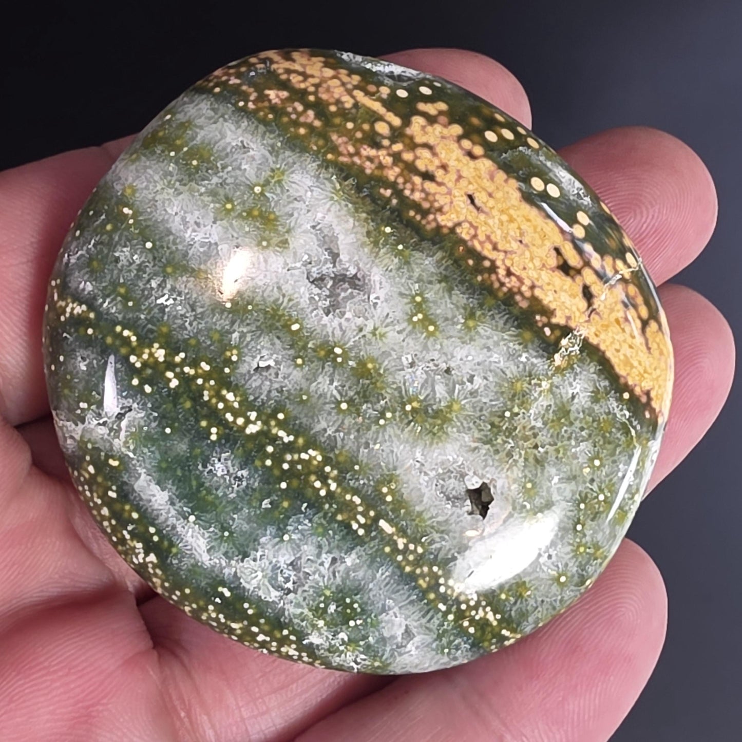 Orbicular Ocean Jasper Palm Stone