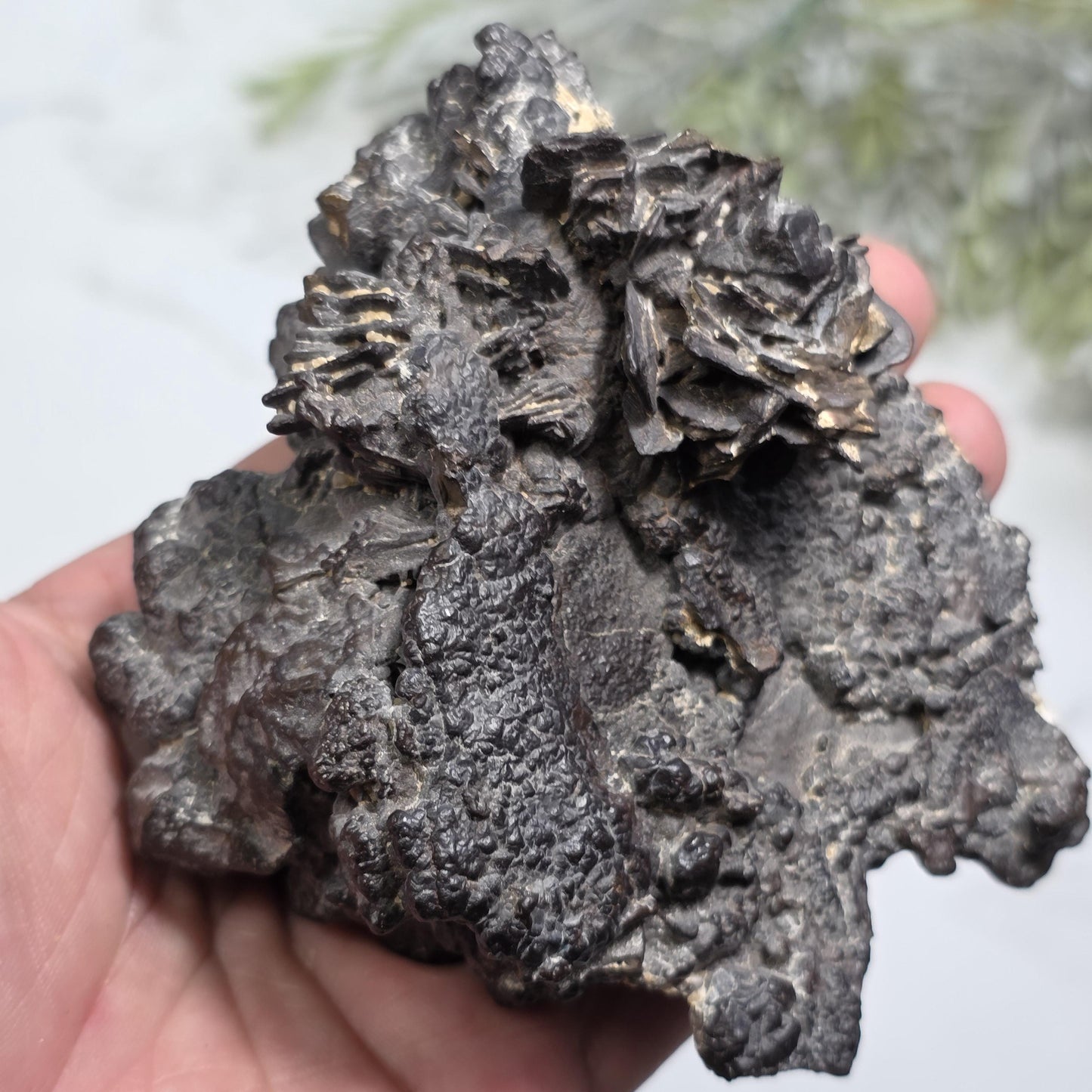 Prophecy Stone