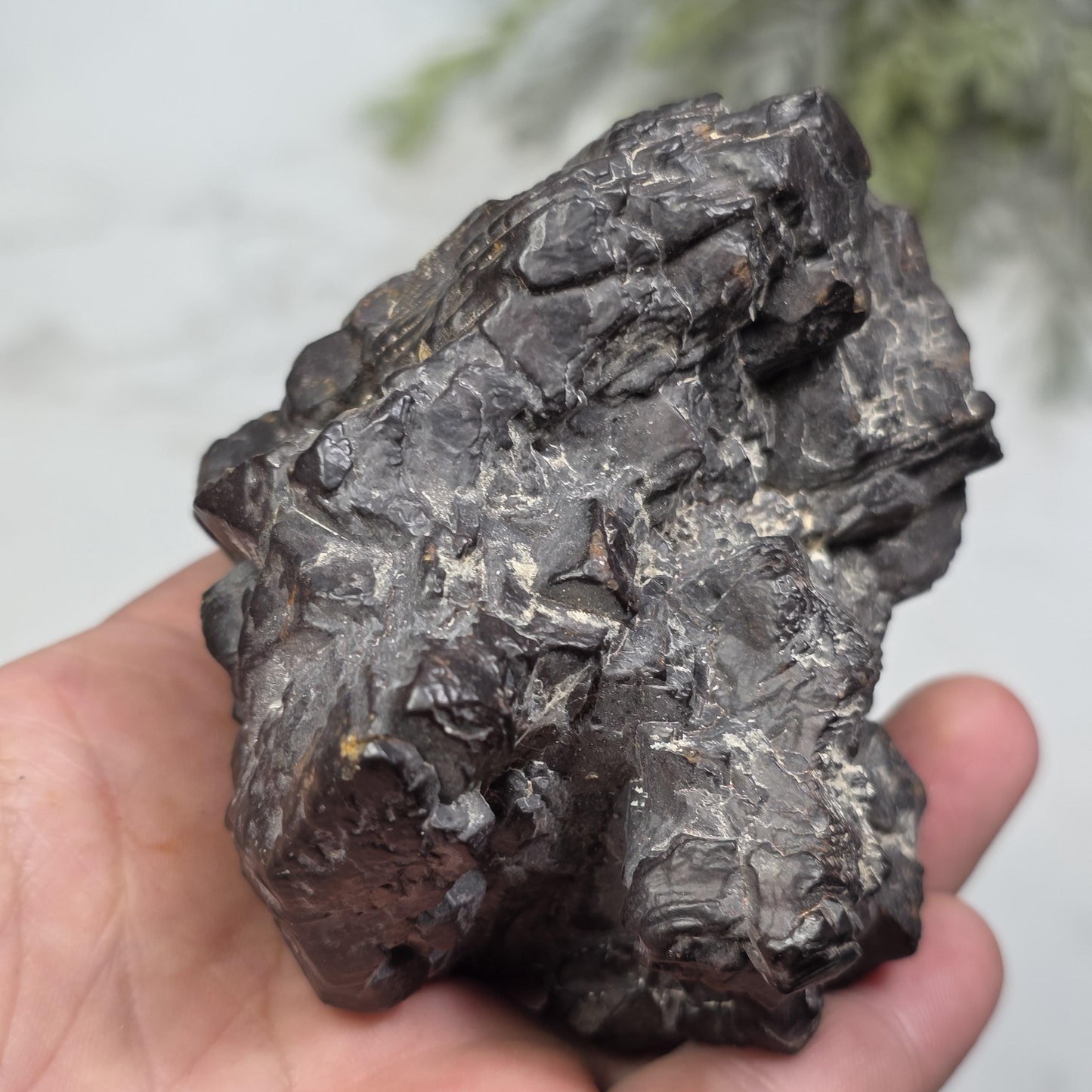 755g Prophecy Stone Specimen
